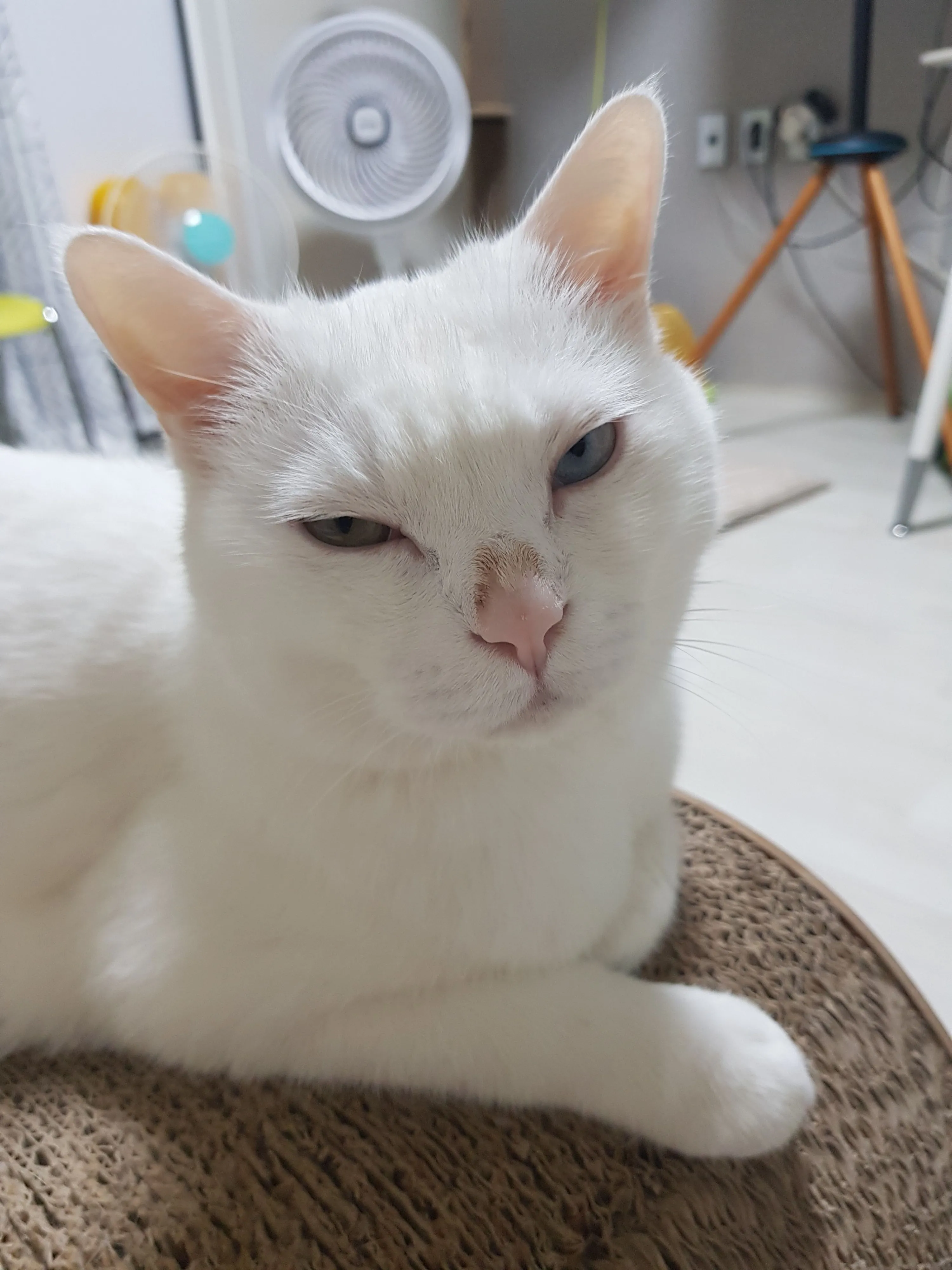 2번째 파일