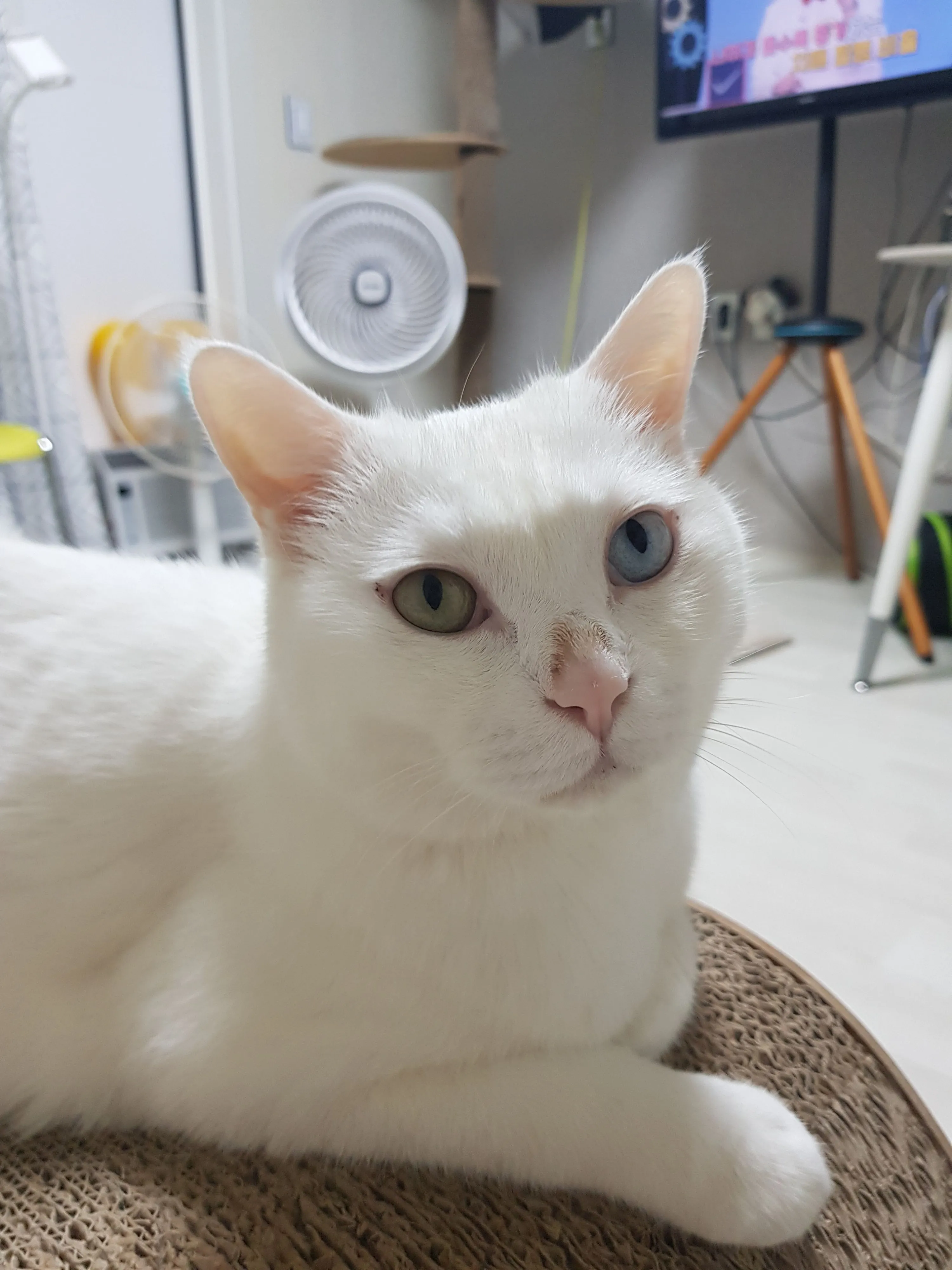 1번째 파일