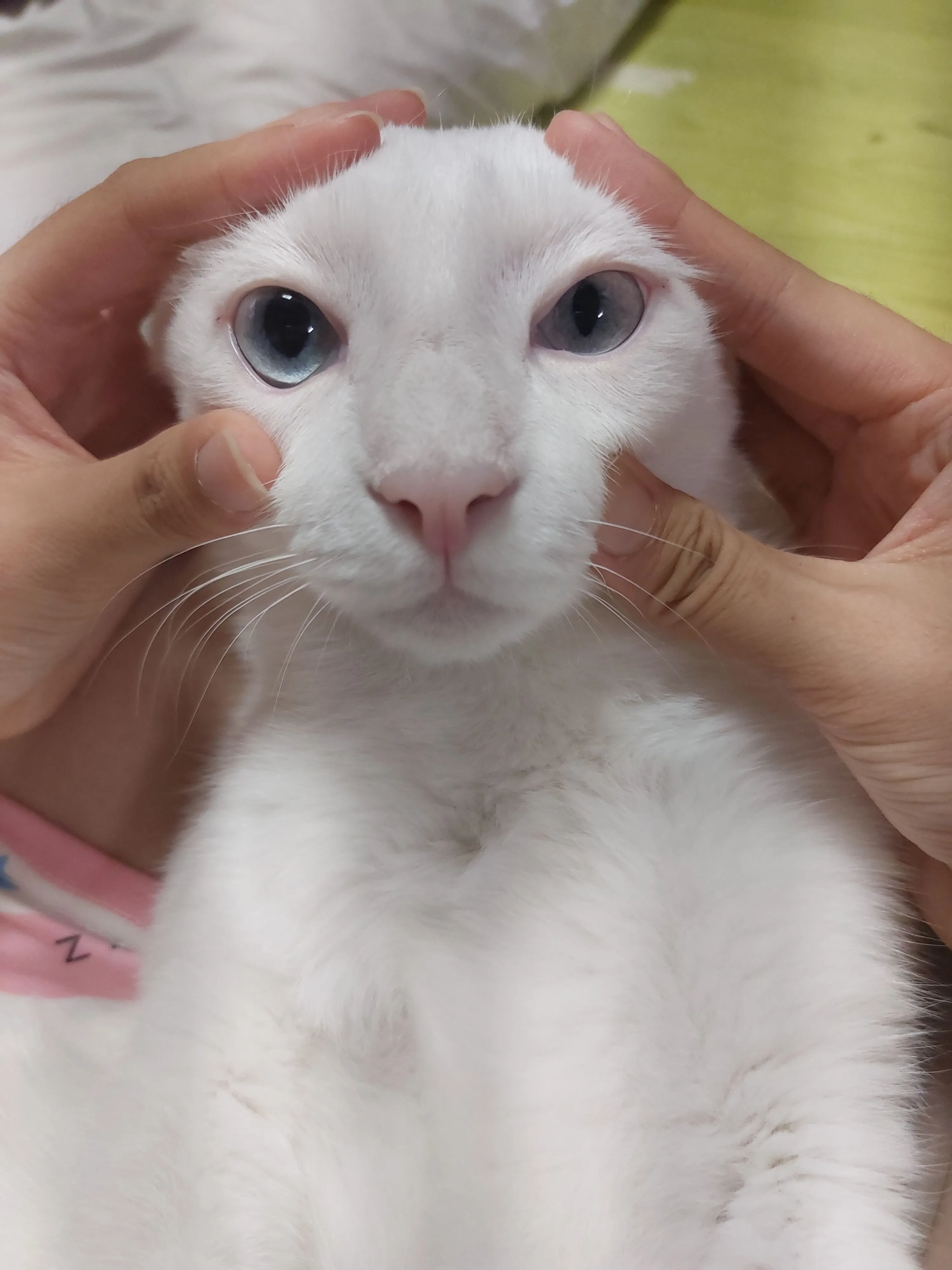 1번째 파일