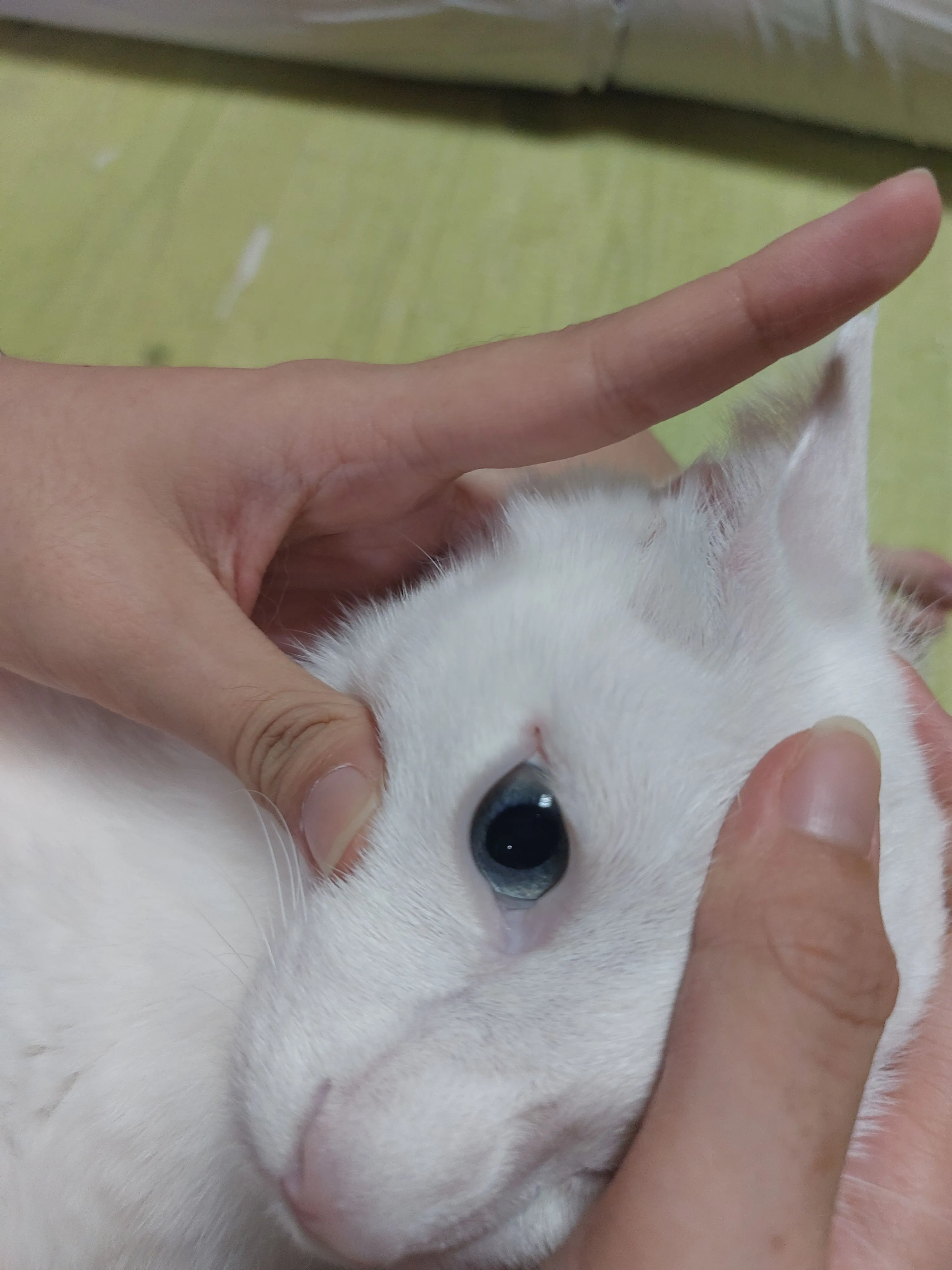 4번째 파일