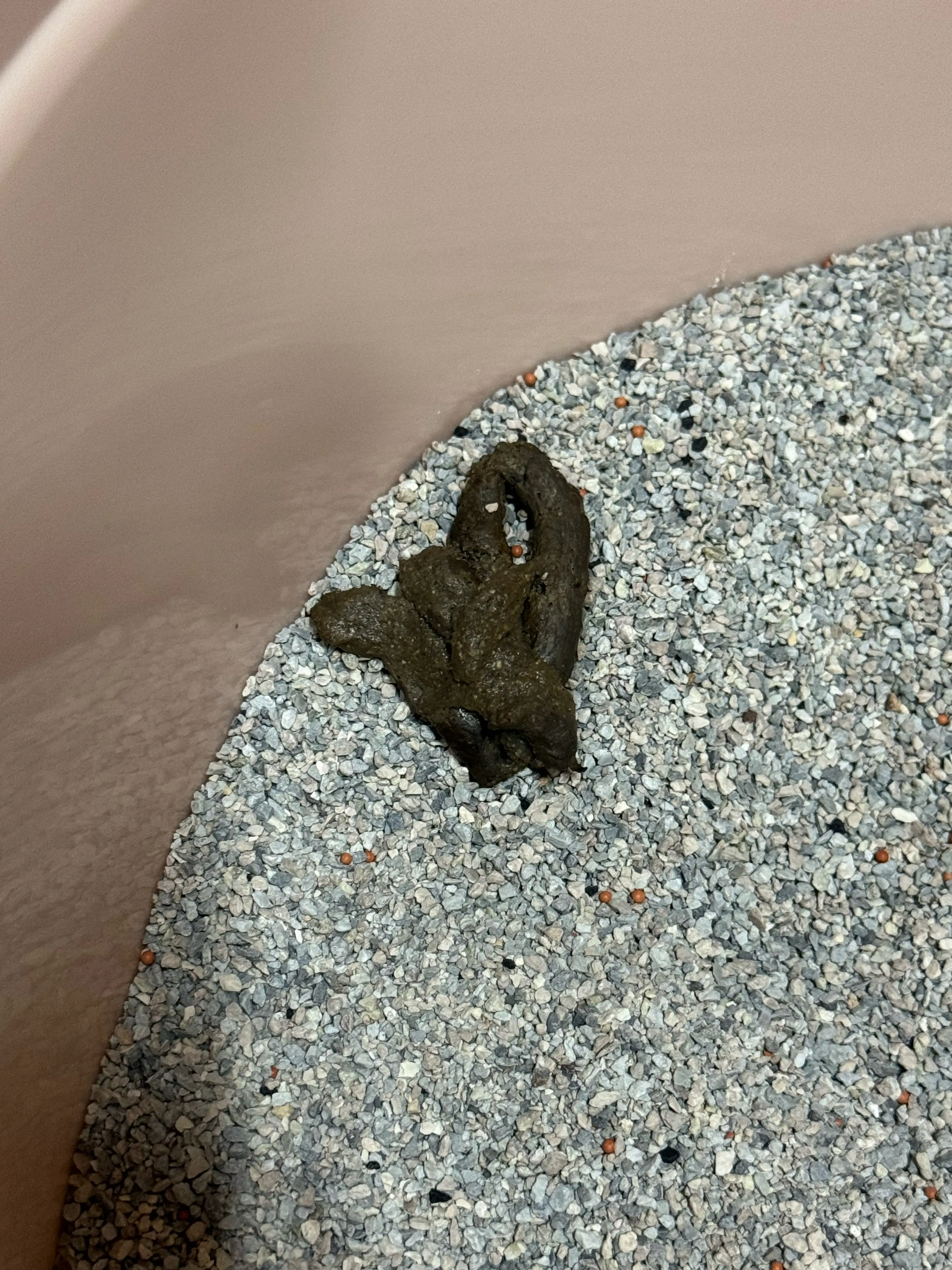 2번째 파일