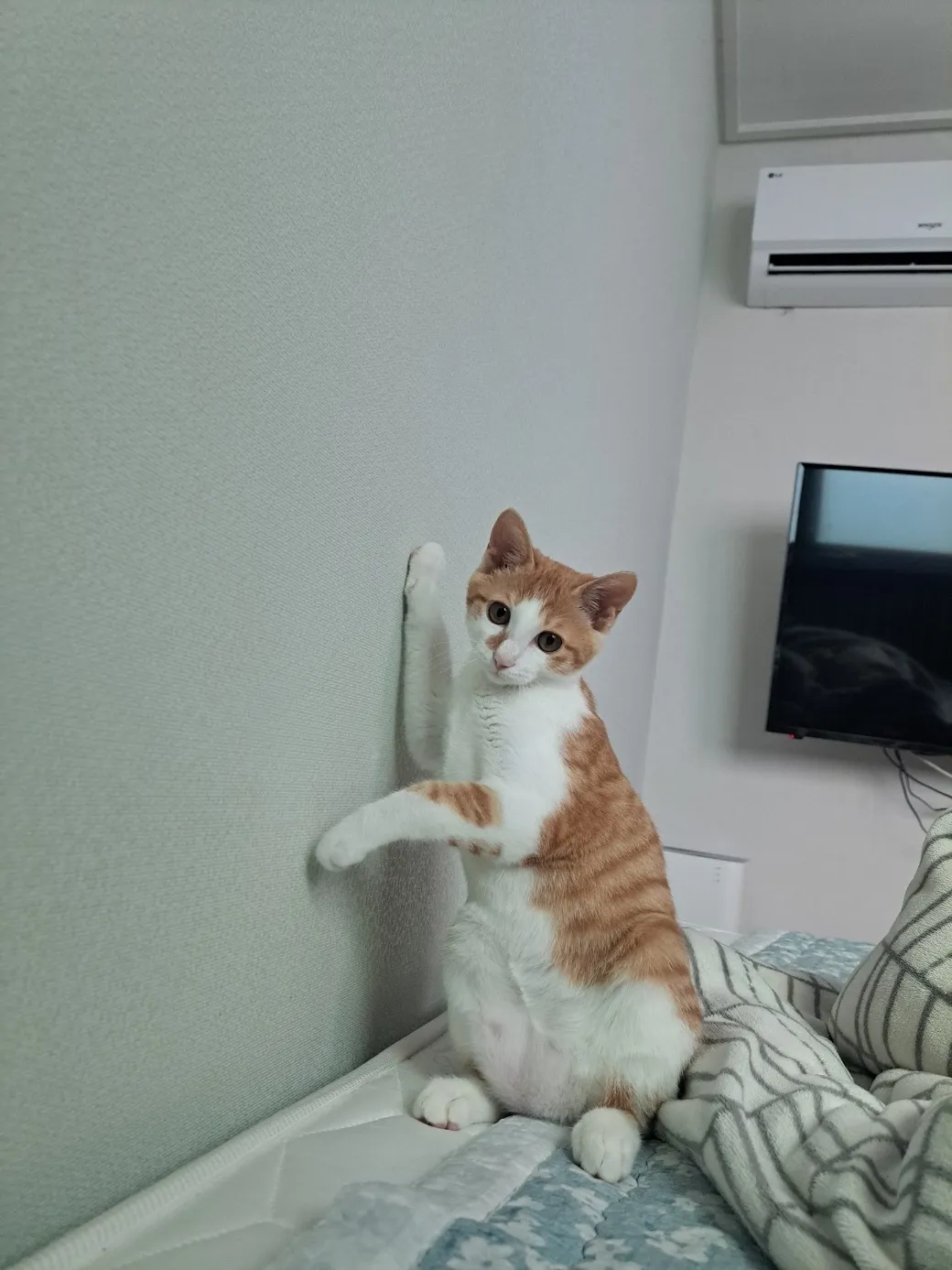 1번째 파일