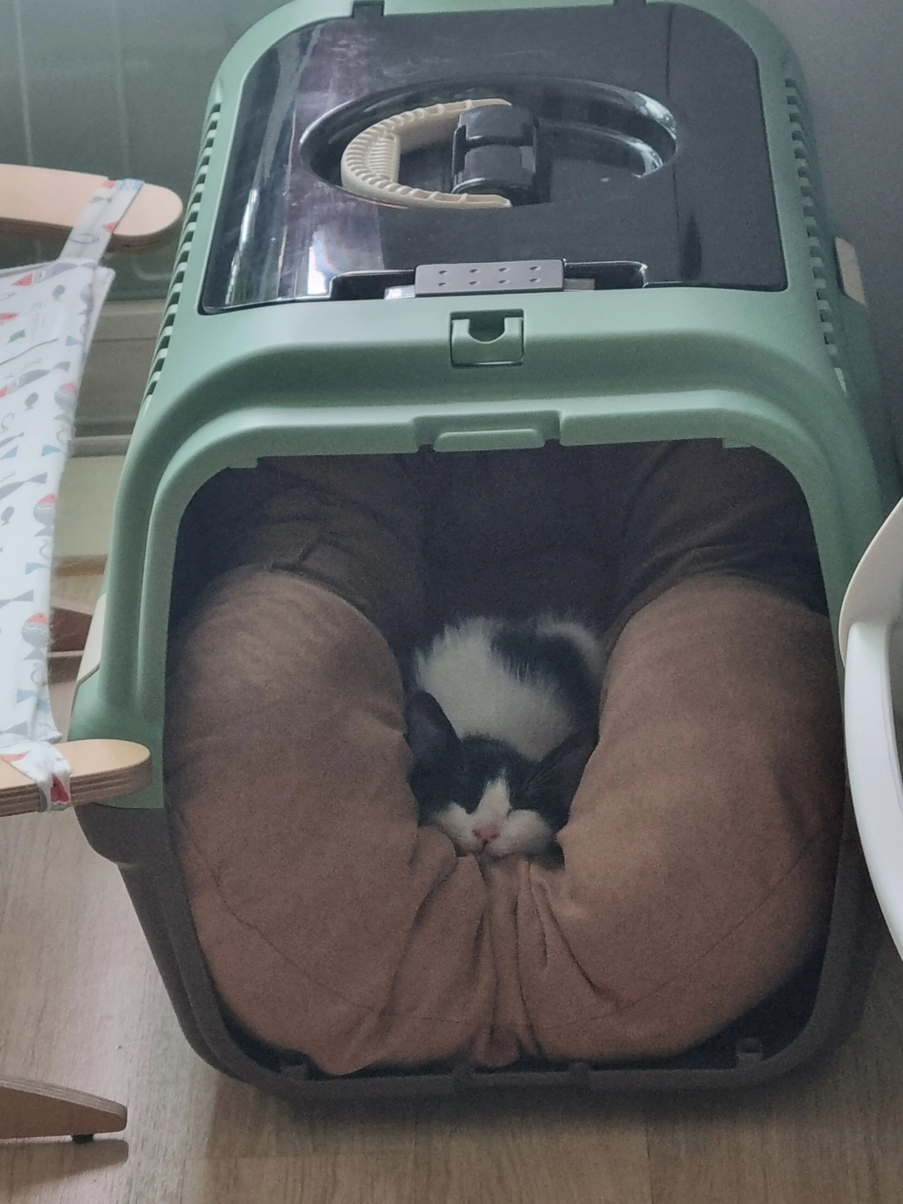 2번째 파일