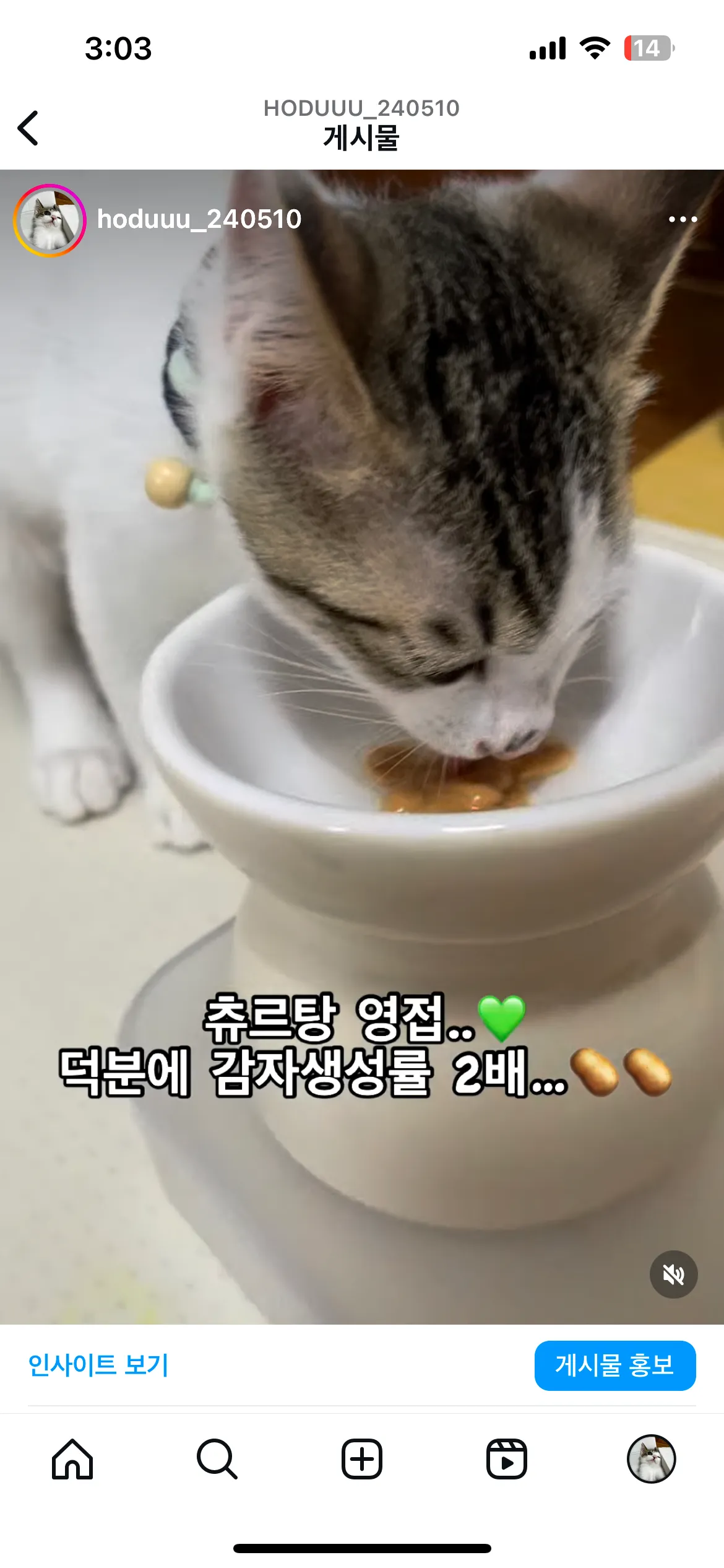 1번째 파일