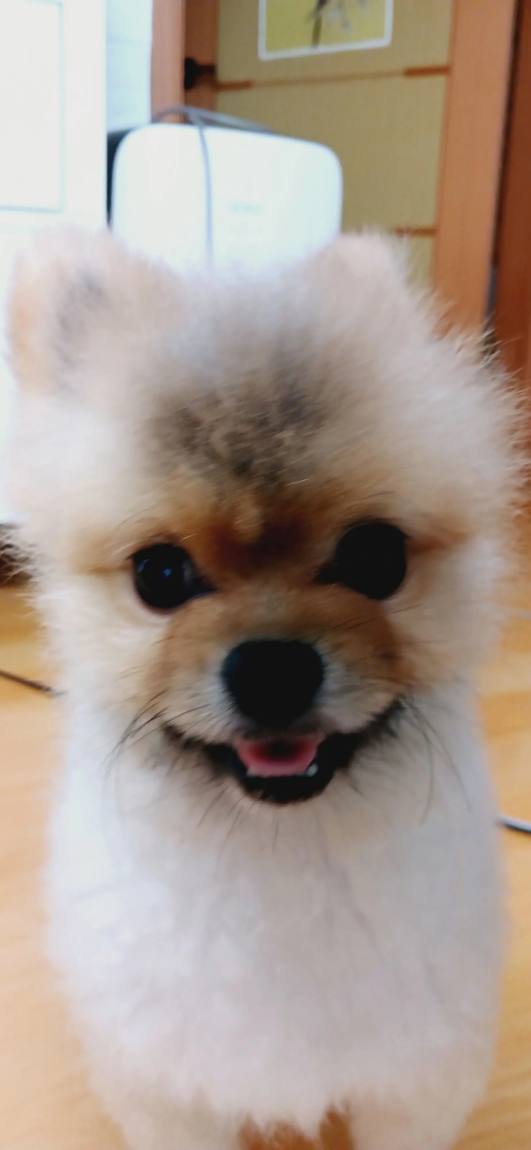 1번째 파일