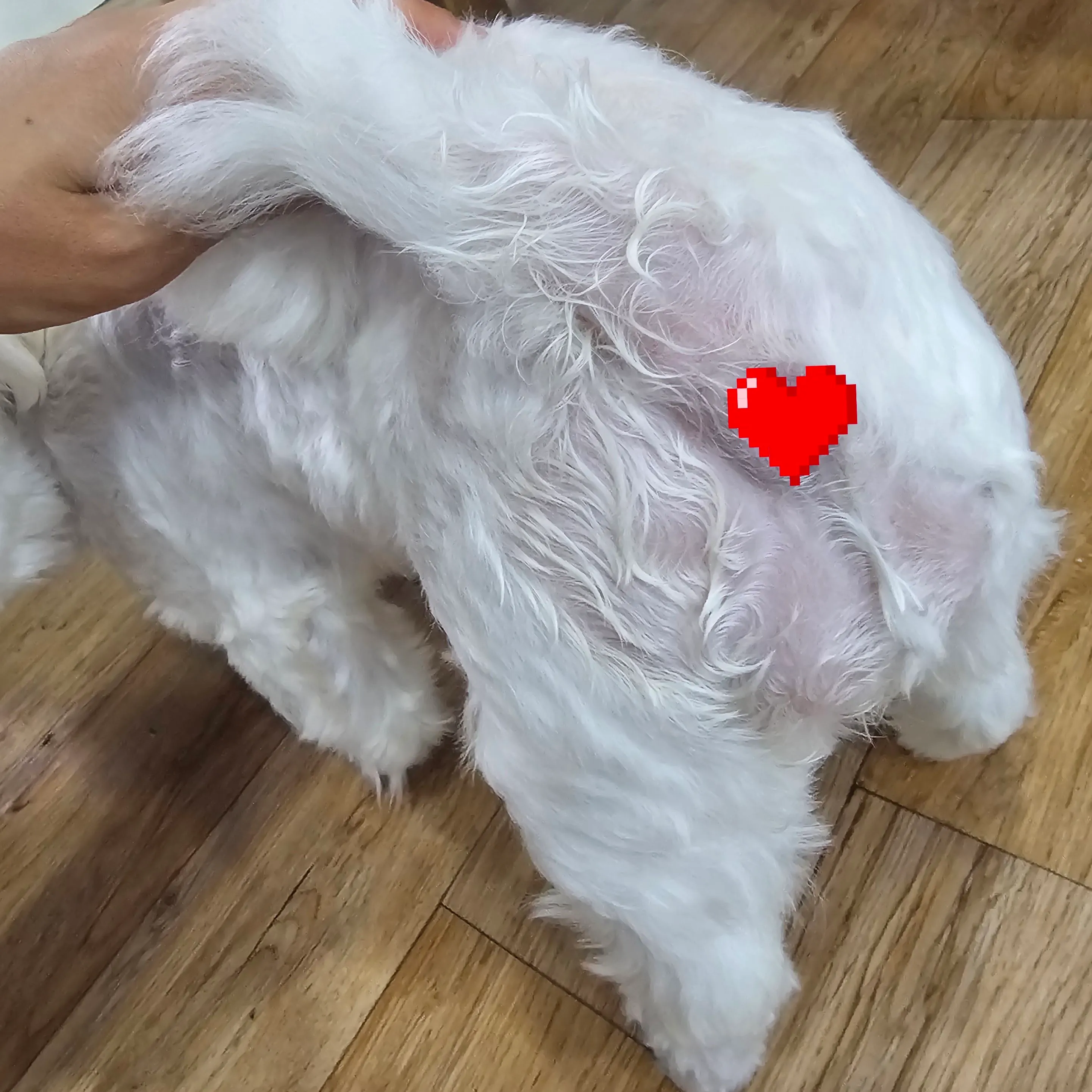 1번째 파일