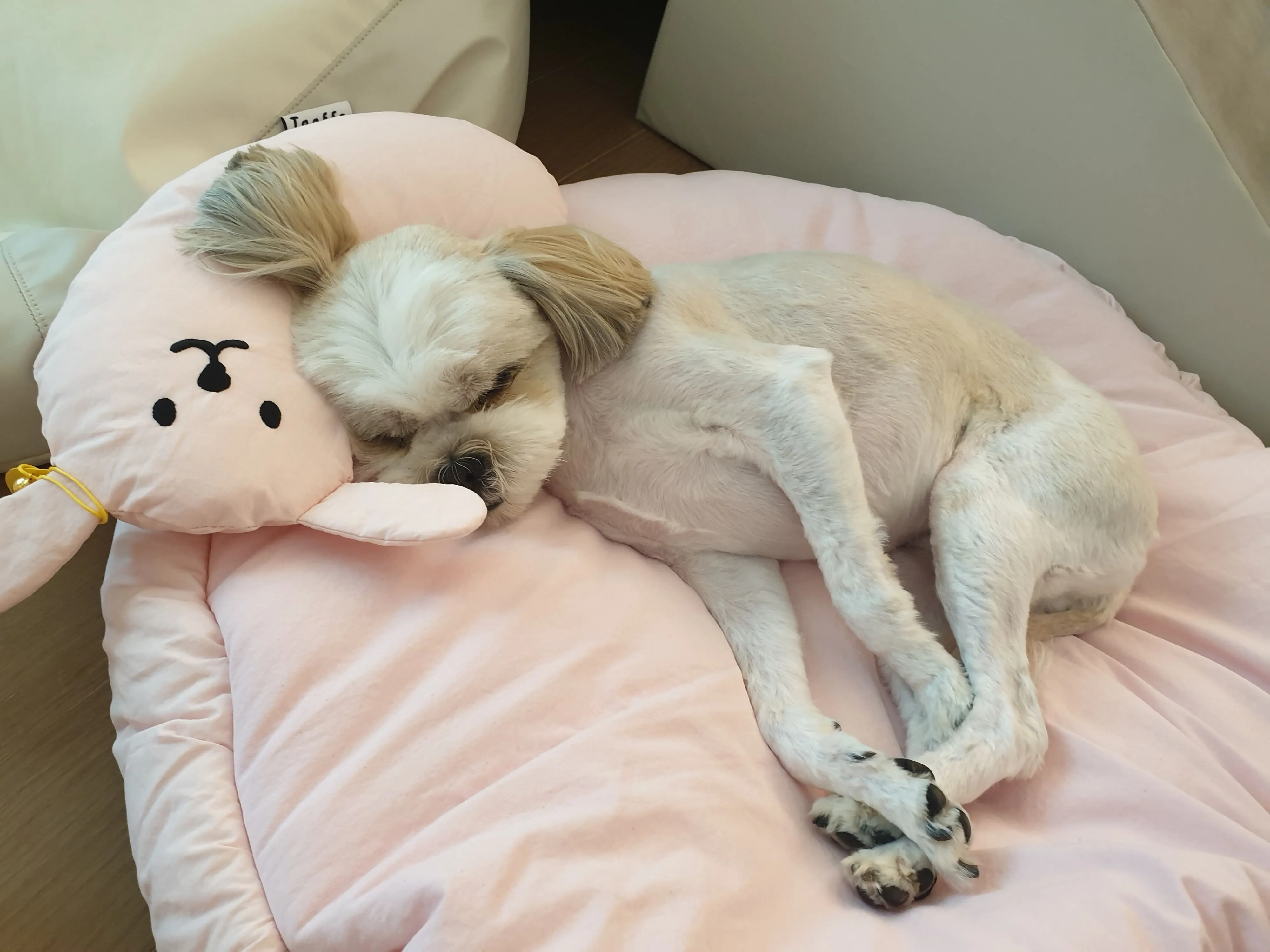 2번째 파일