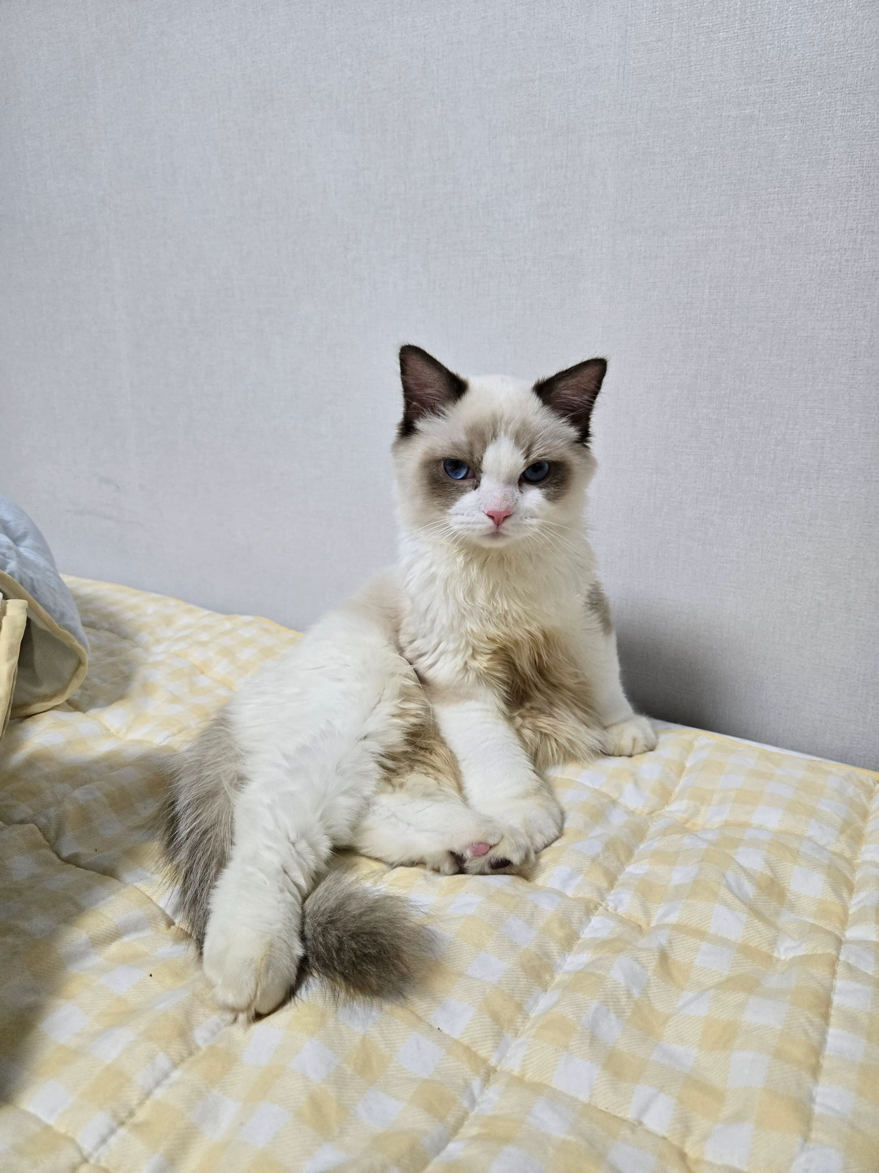 1번째 파일