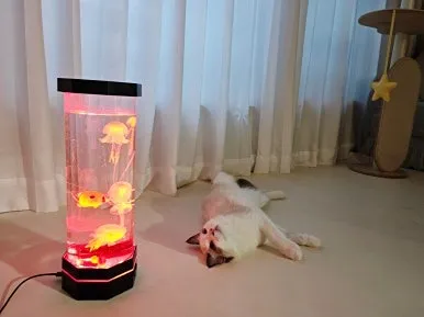 3번째 파일