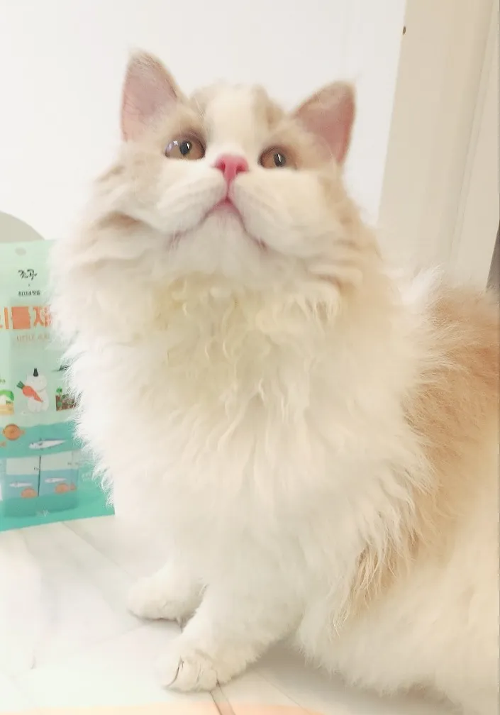 4번째 파일