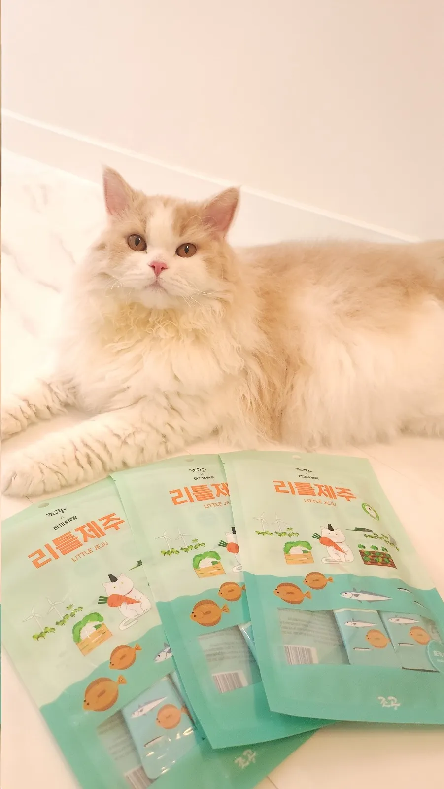 3번째 파일