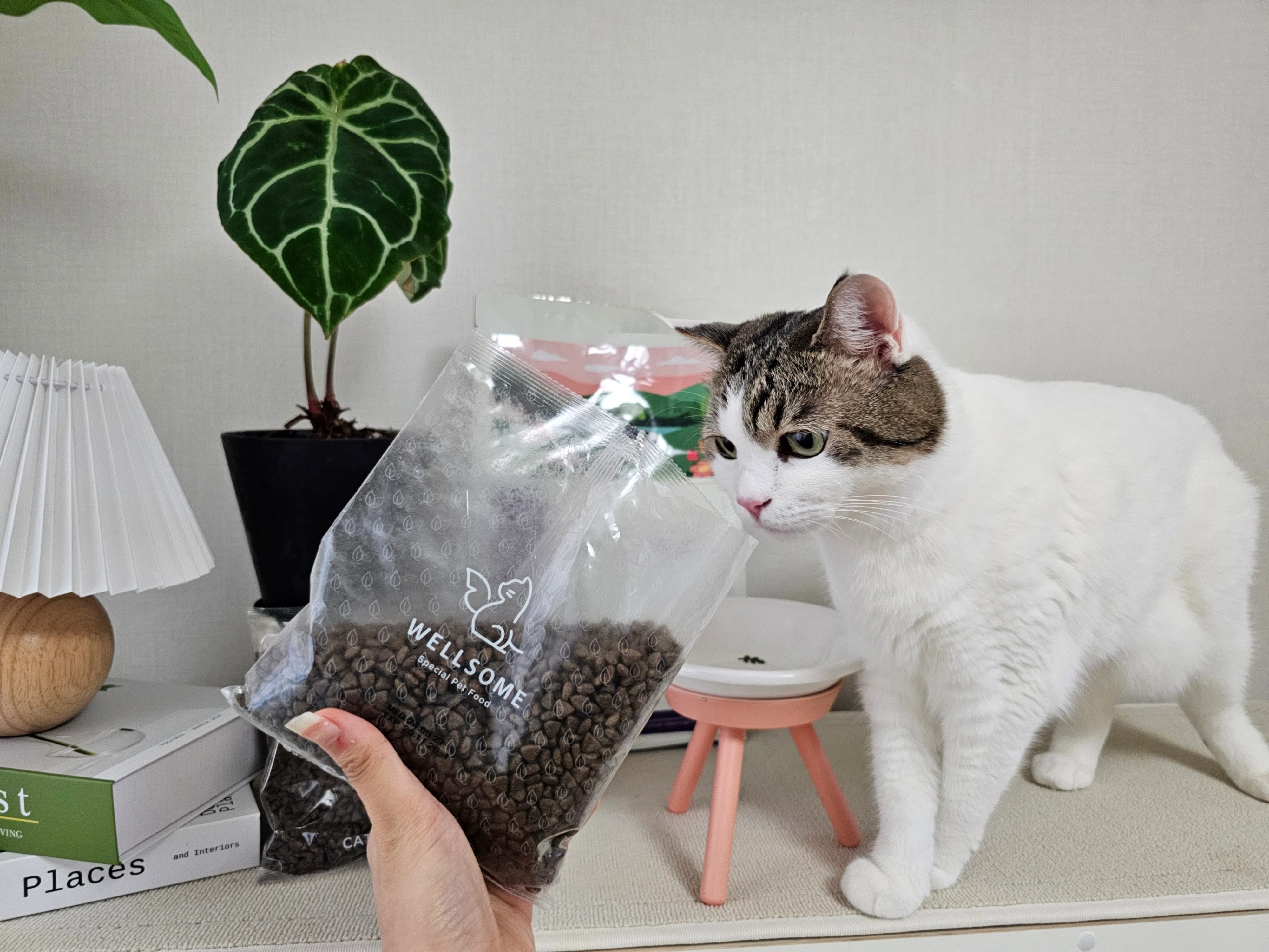 5번째 파일