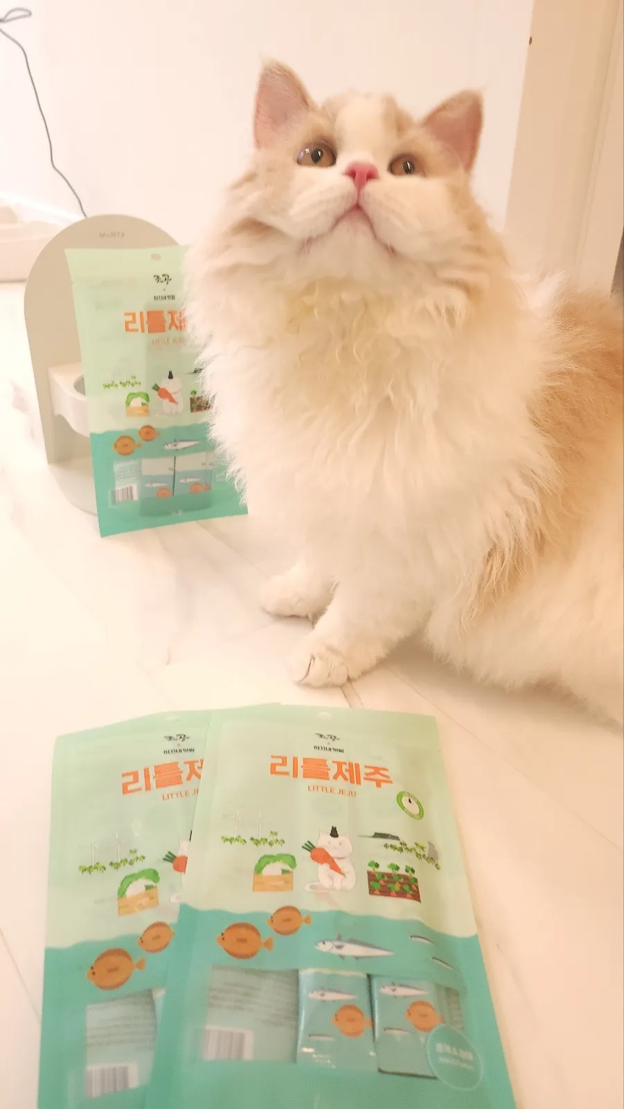 2번째 파일