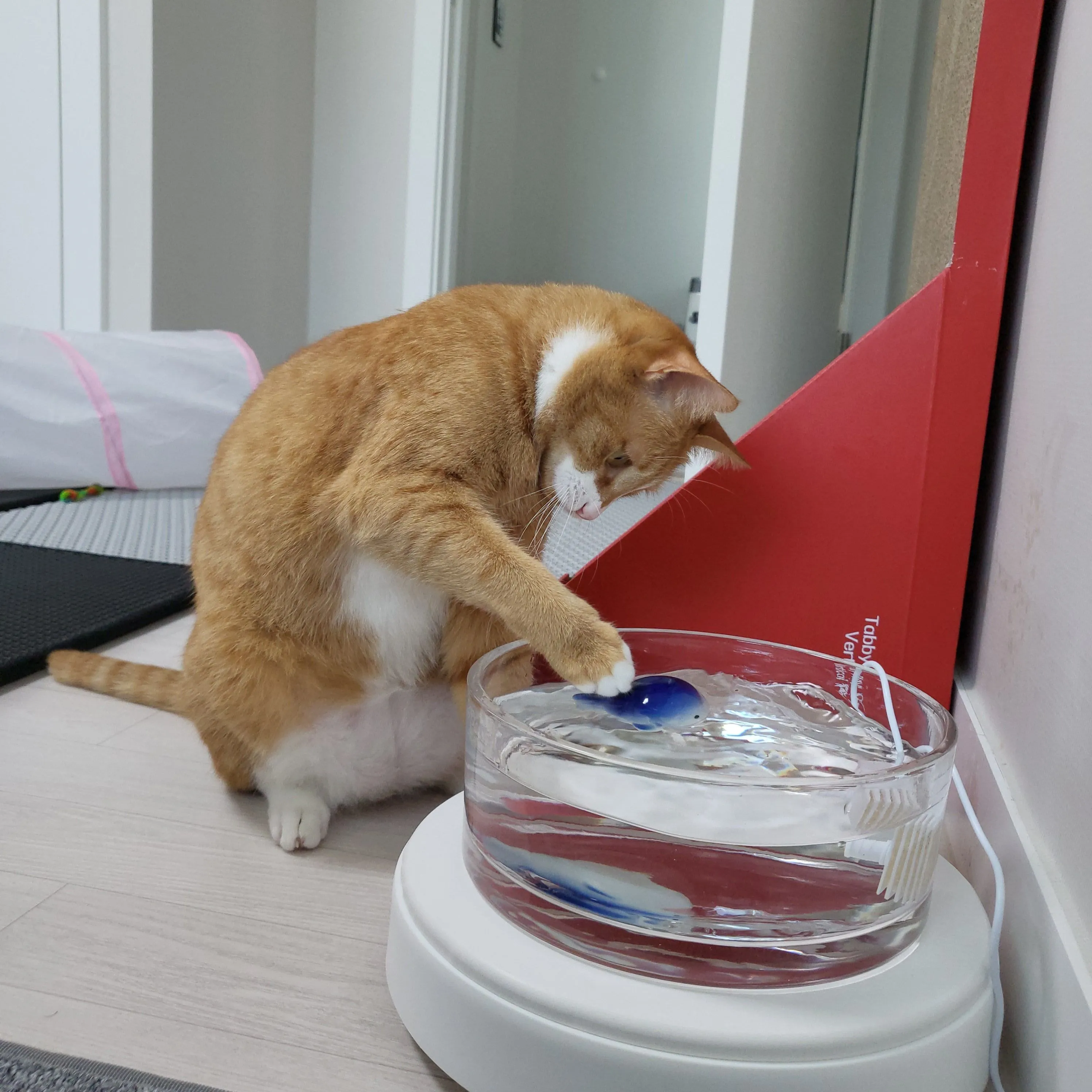 4번째 파일