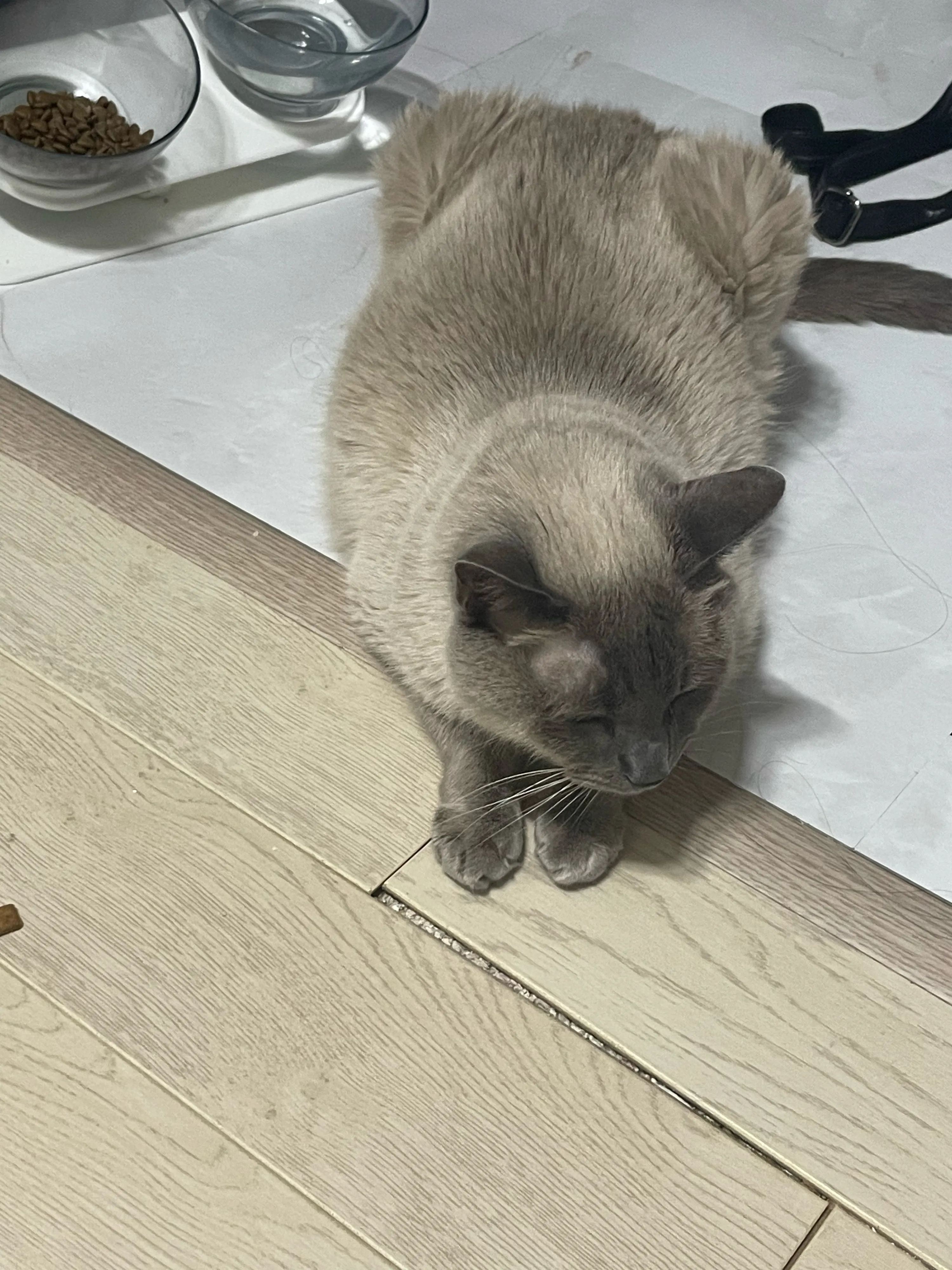1번째 파일