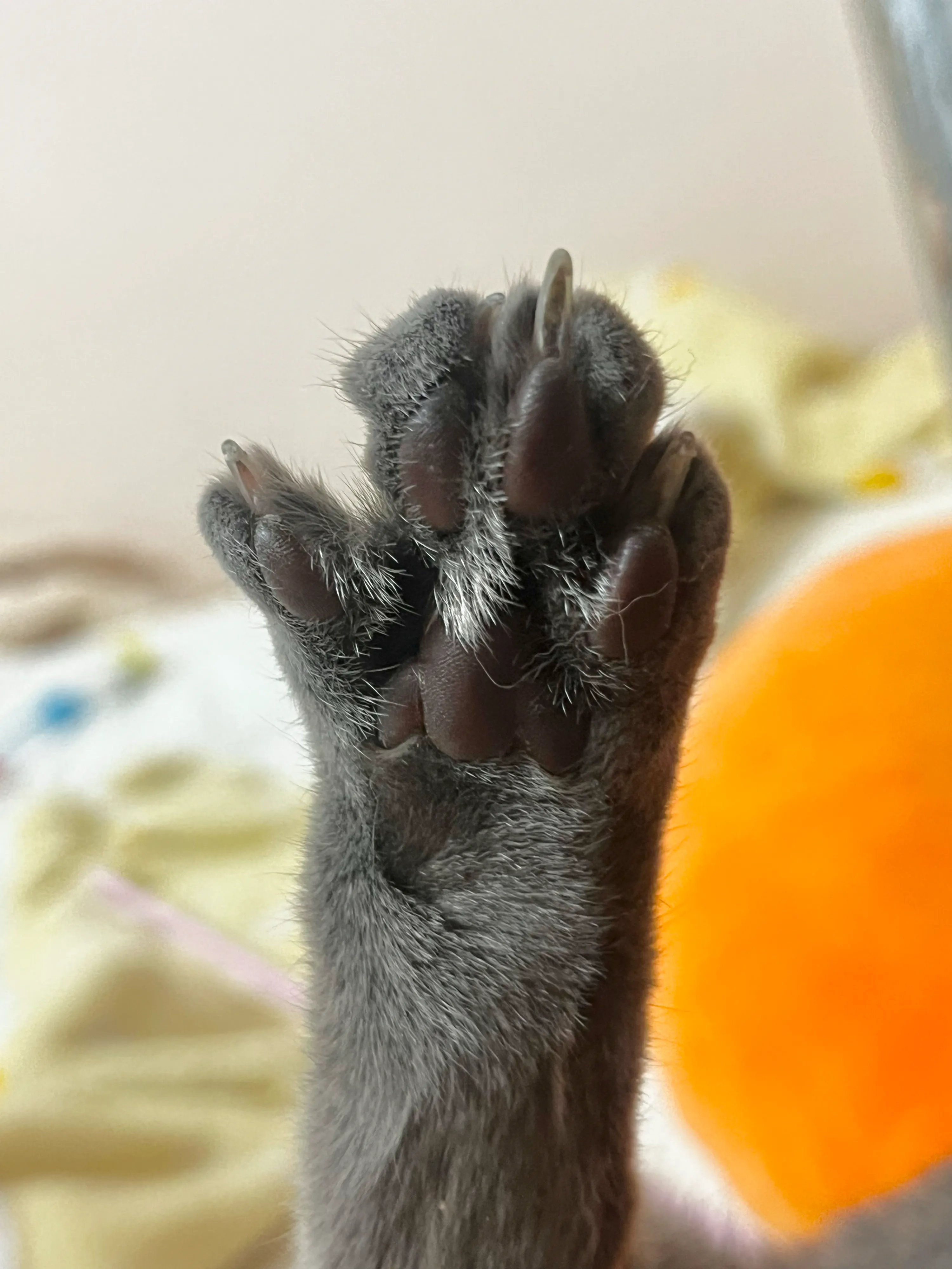 1번째 파일
