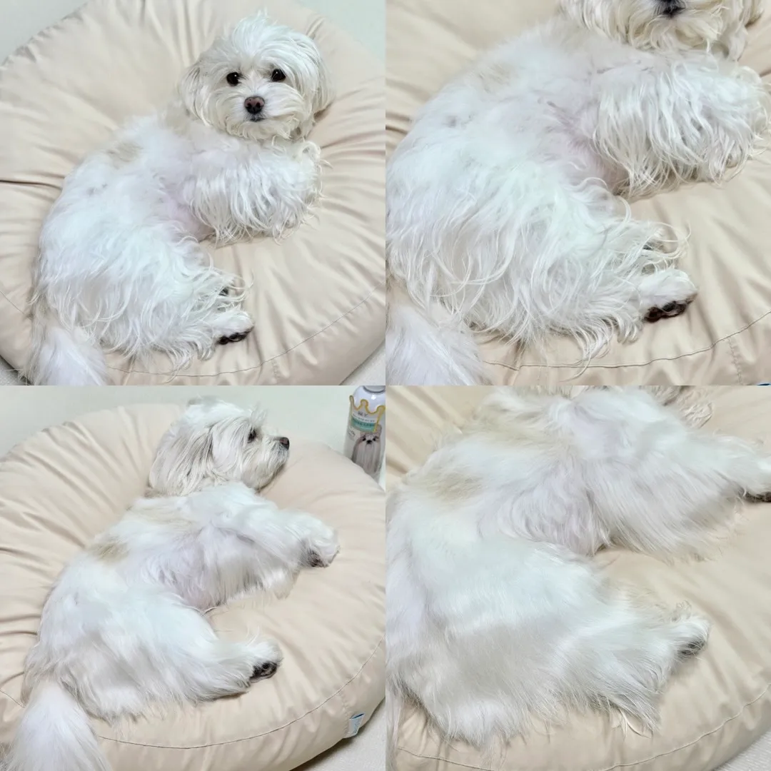 4번째 파일