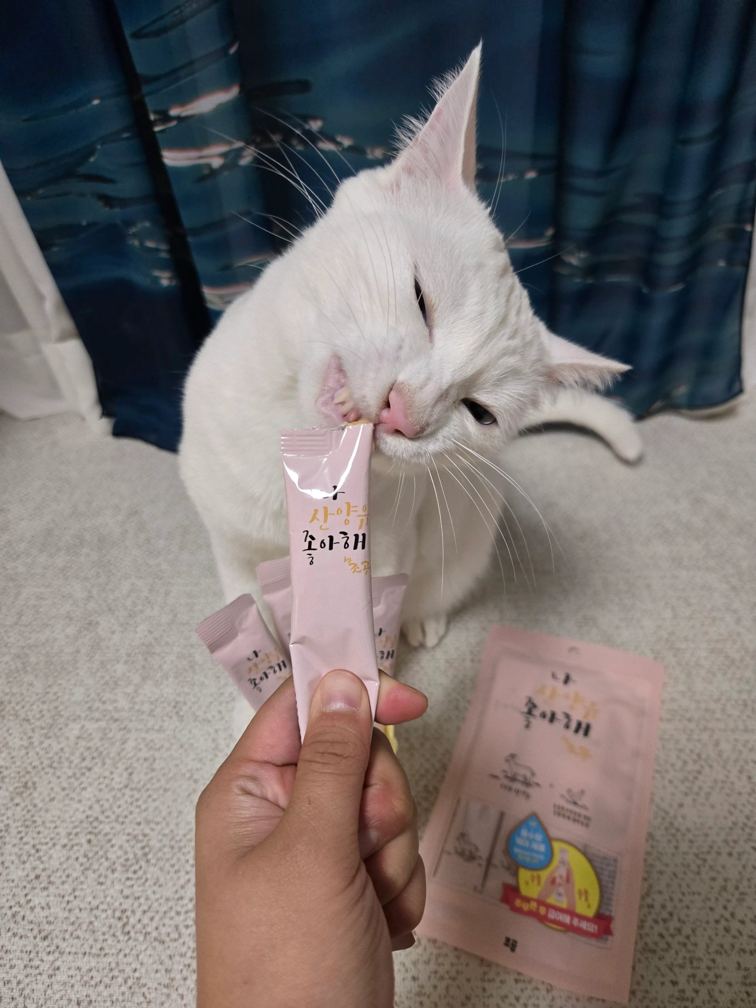 4번째 파일