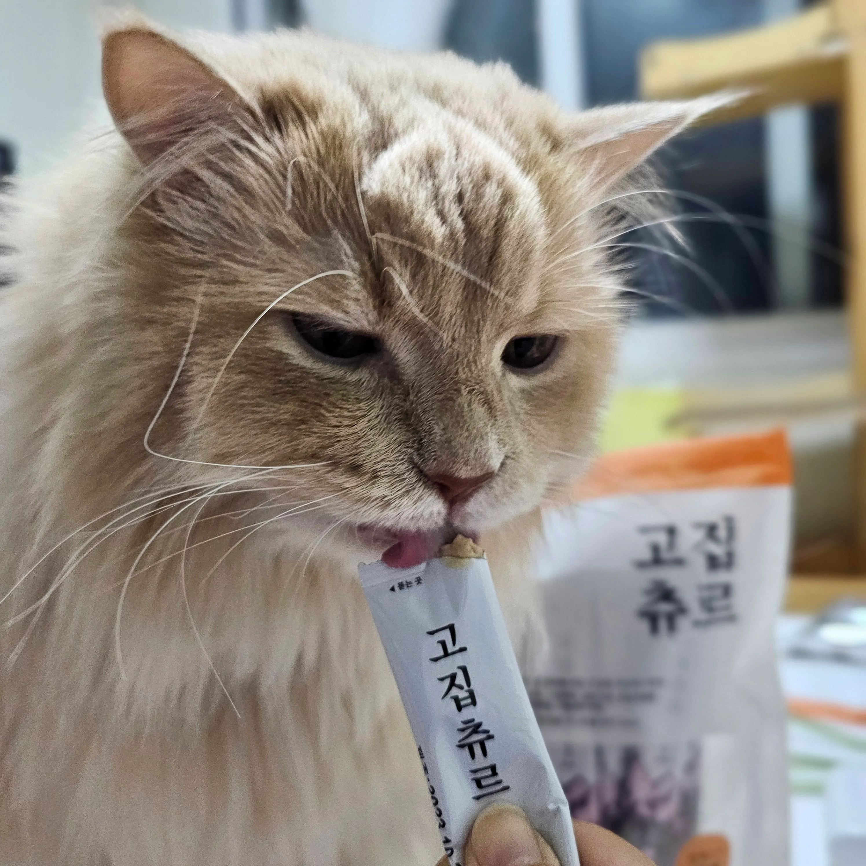 1번째 파일
