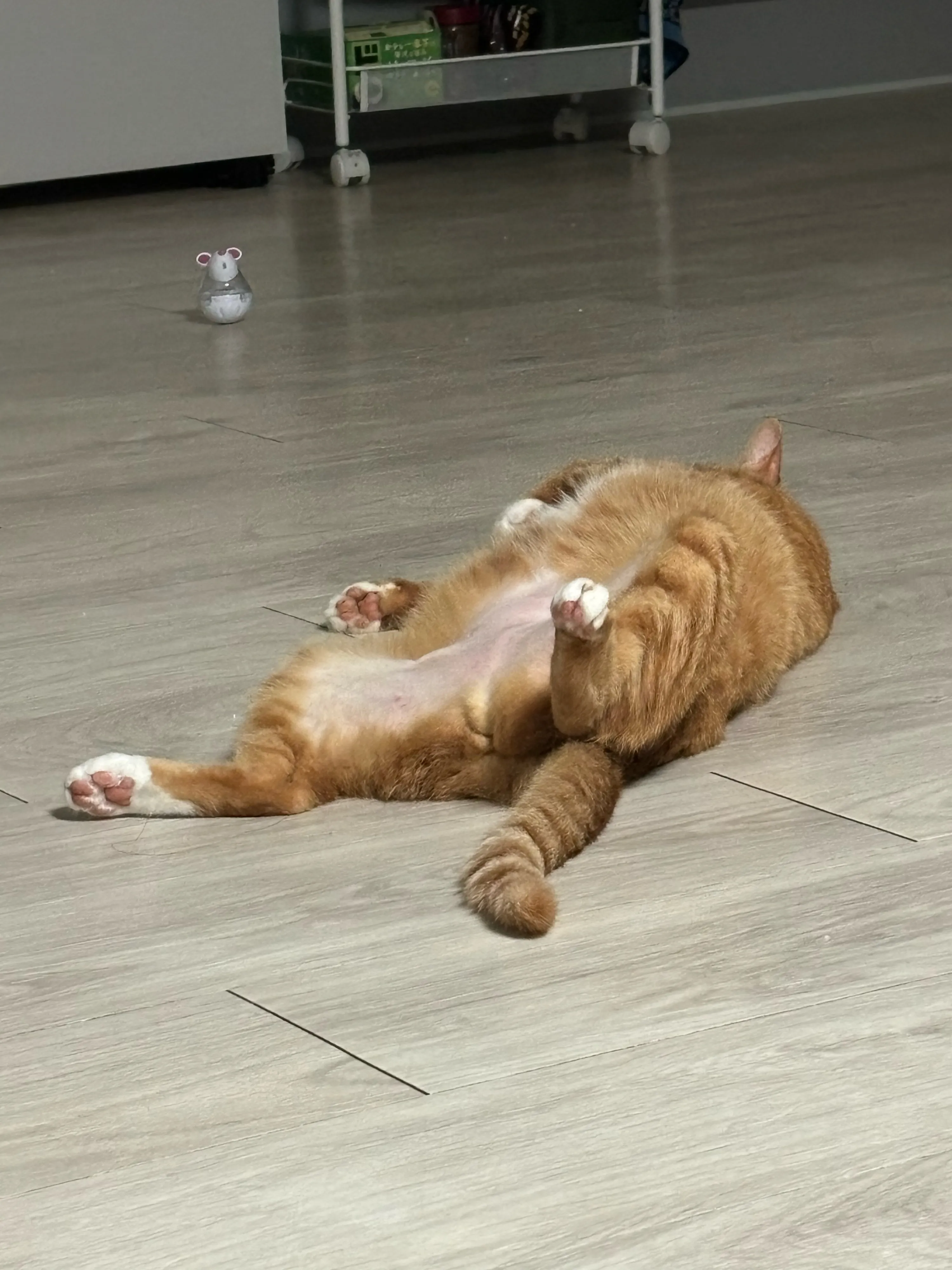 1번째 파일