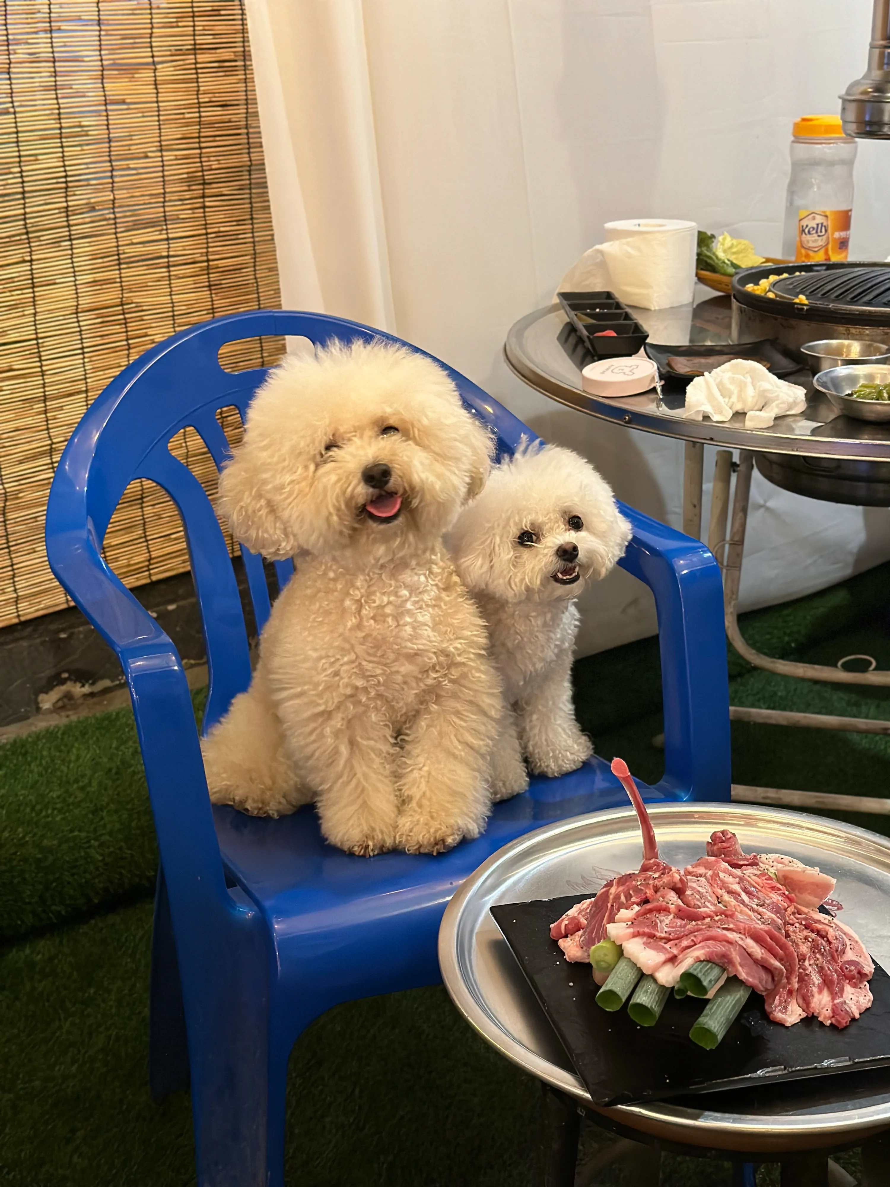 1번째 파일