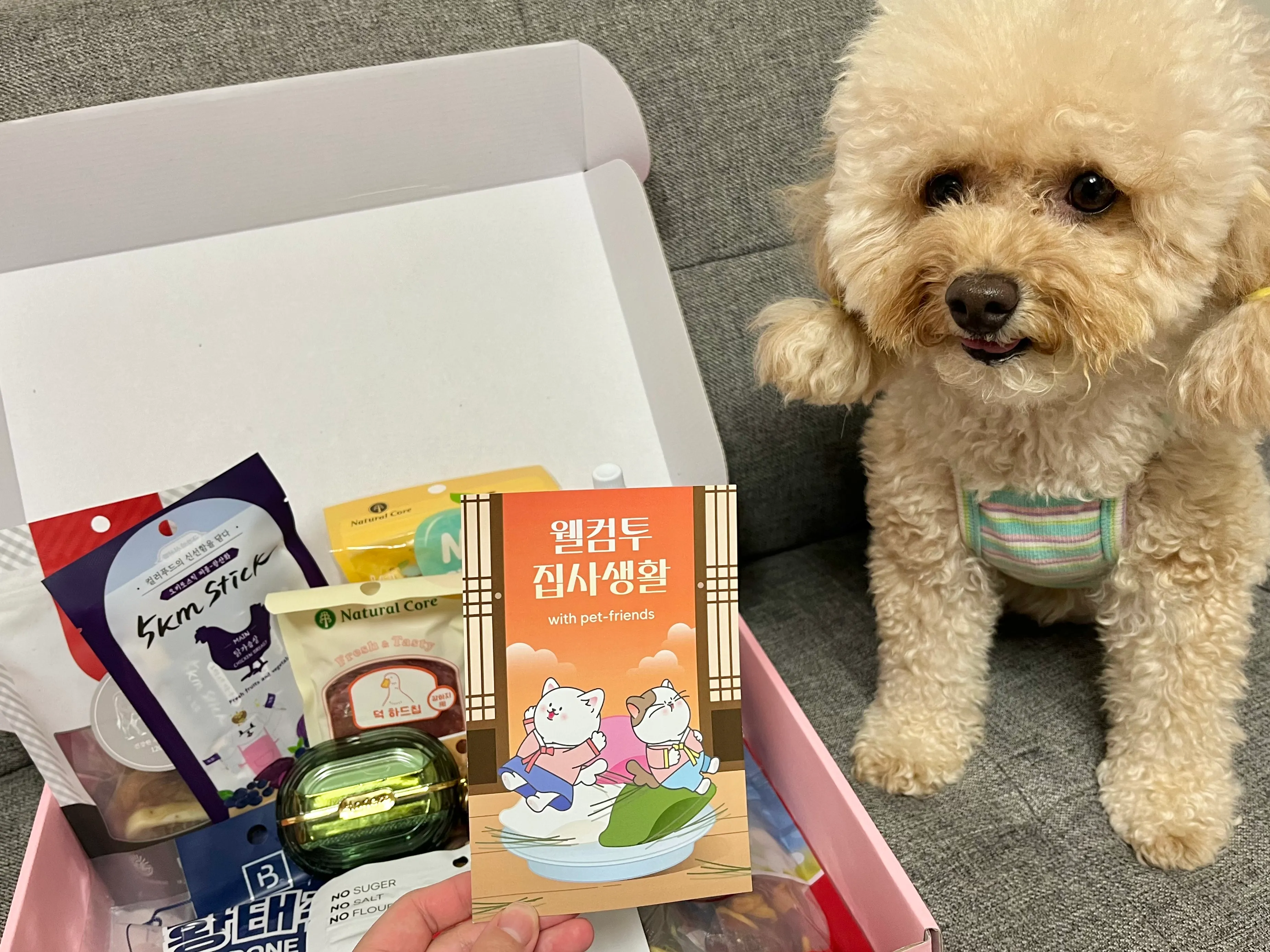 4번째 파일