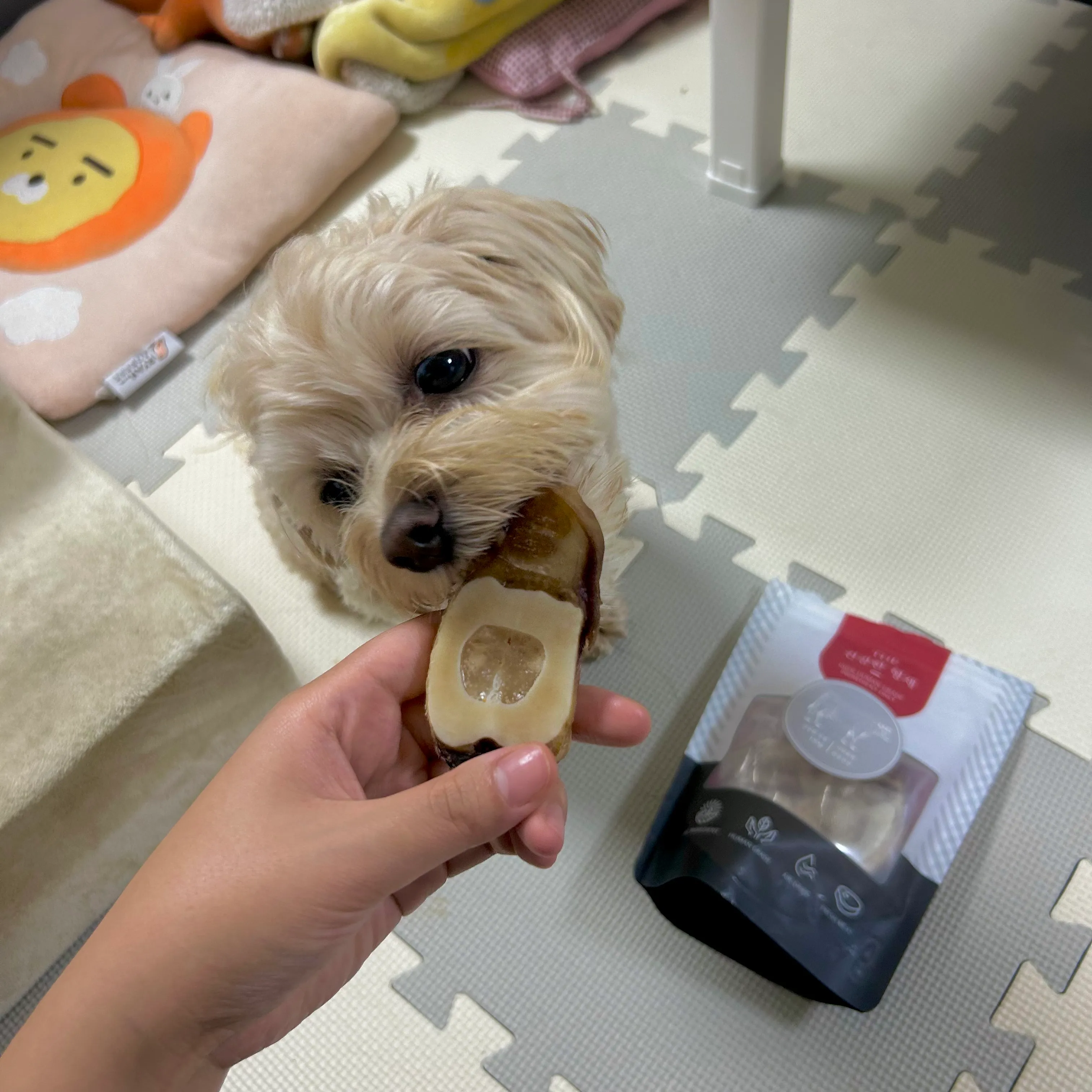 3번째 파일
