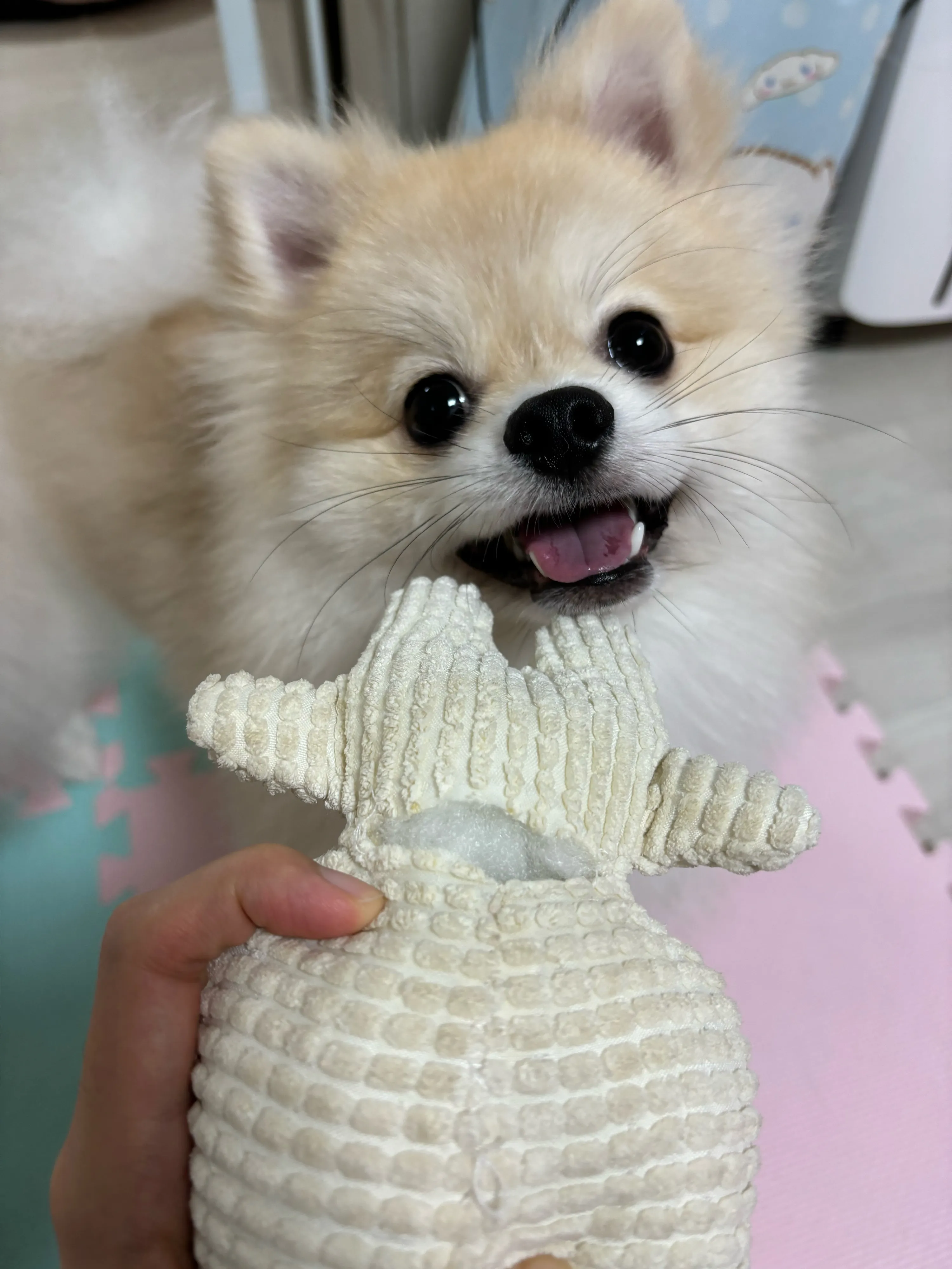 1번째 파일