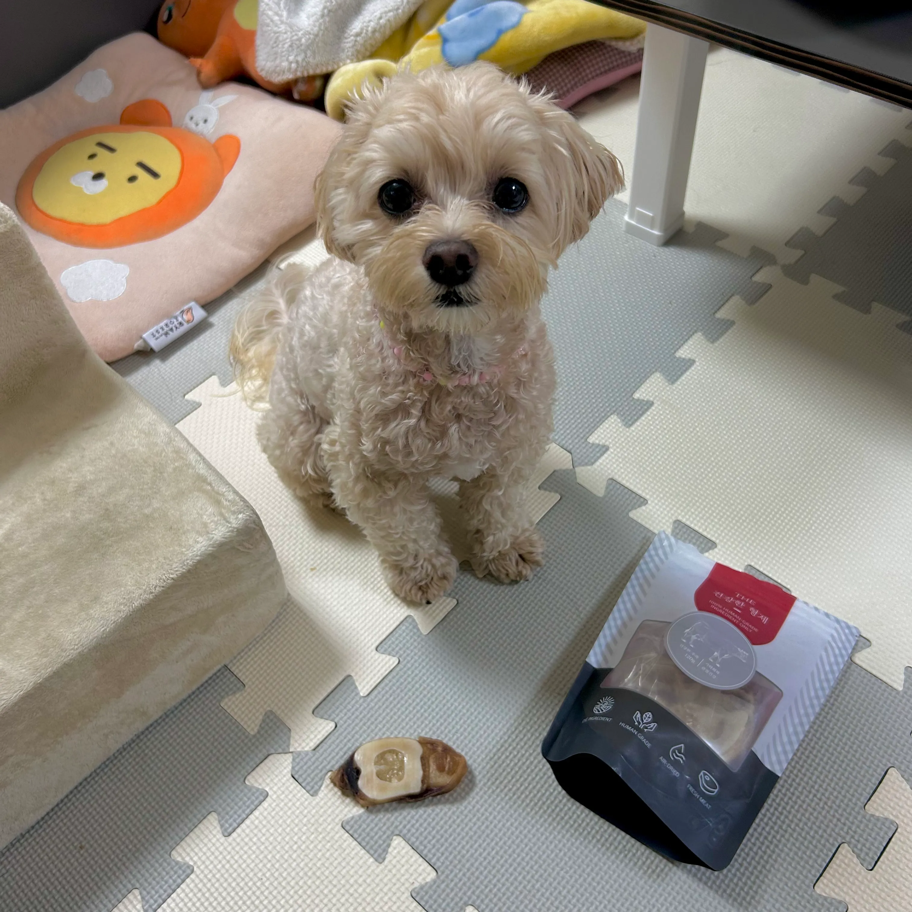 2번째 파일