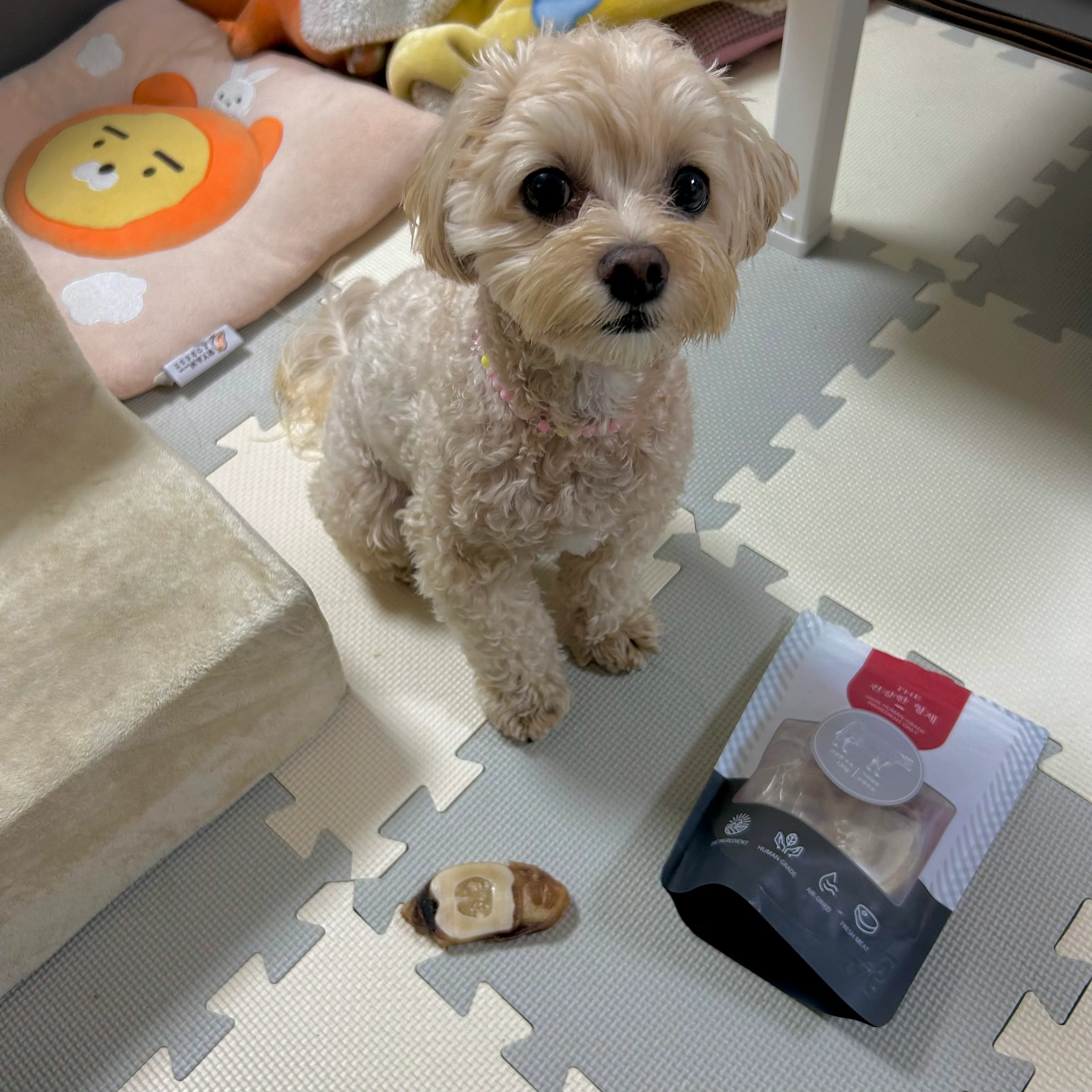 1번째 파일