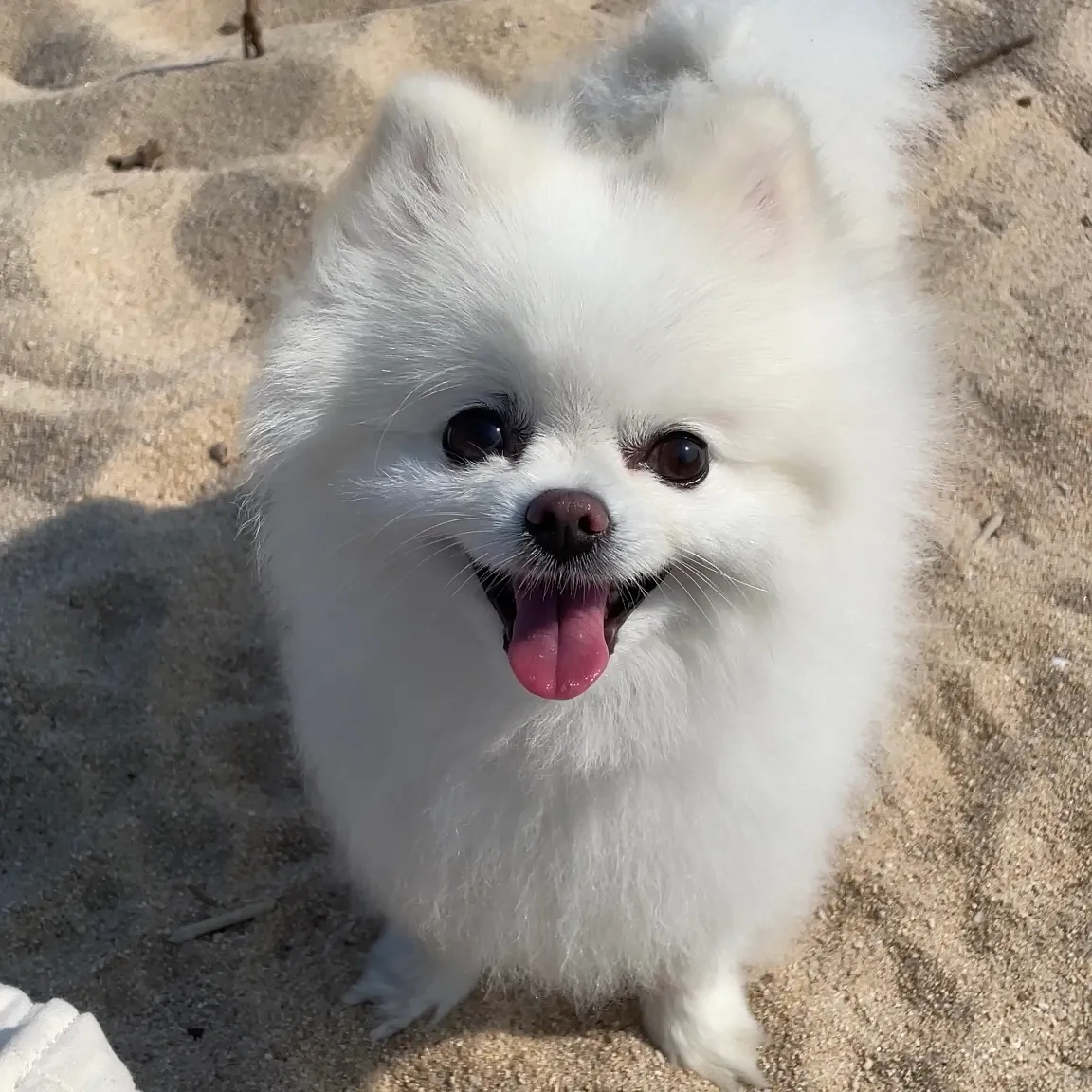 1번째 파일