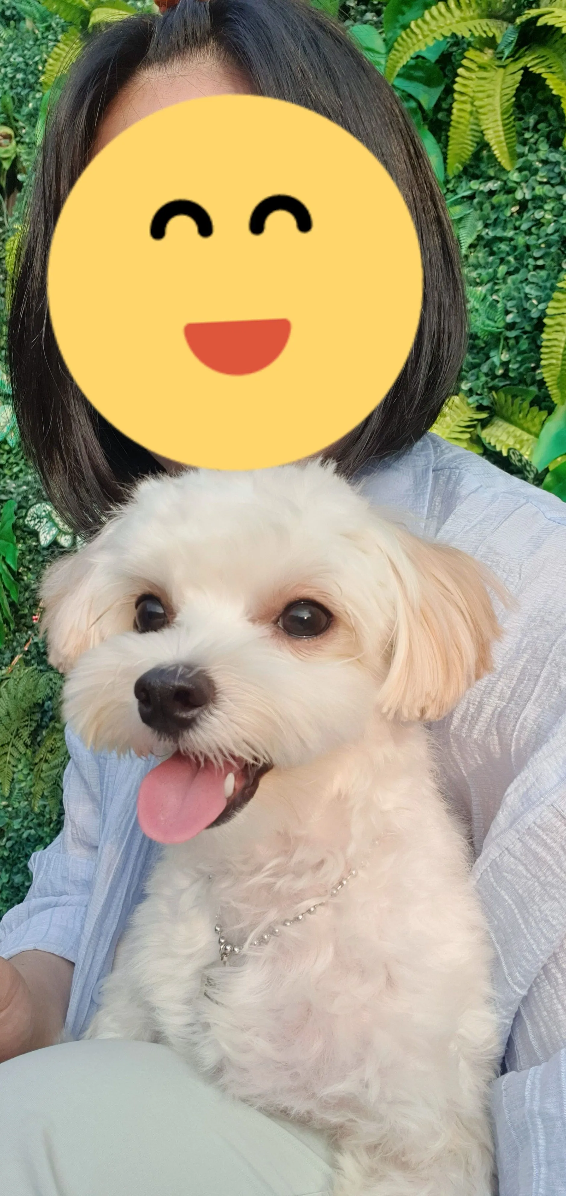 3번째 파일