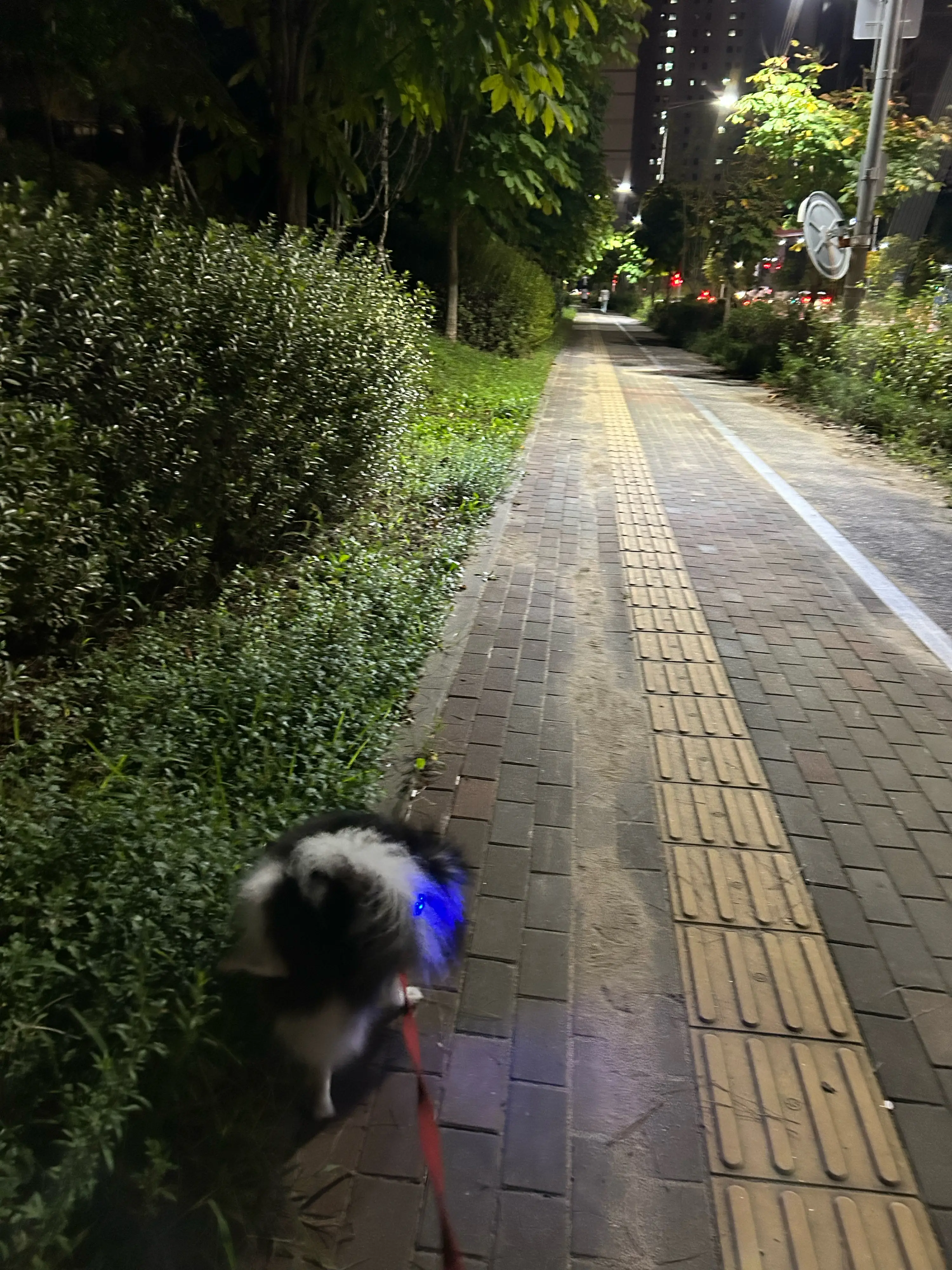 1번째 파일