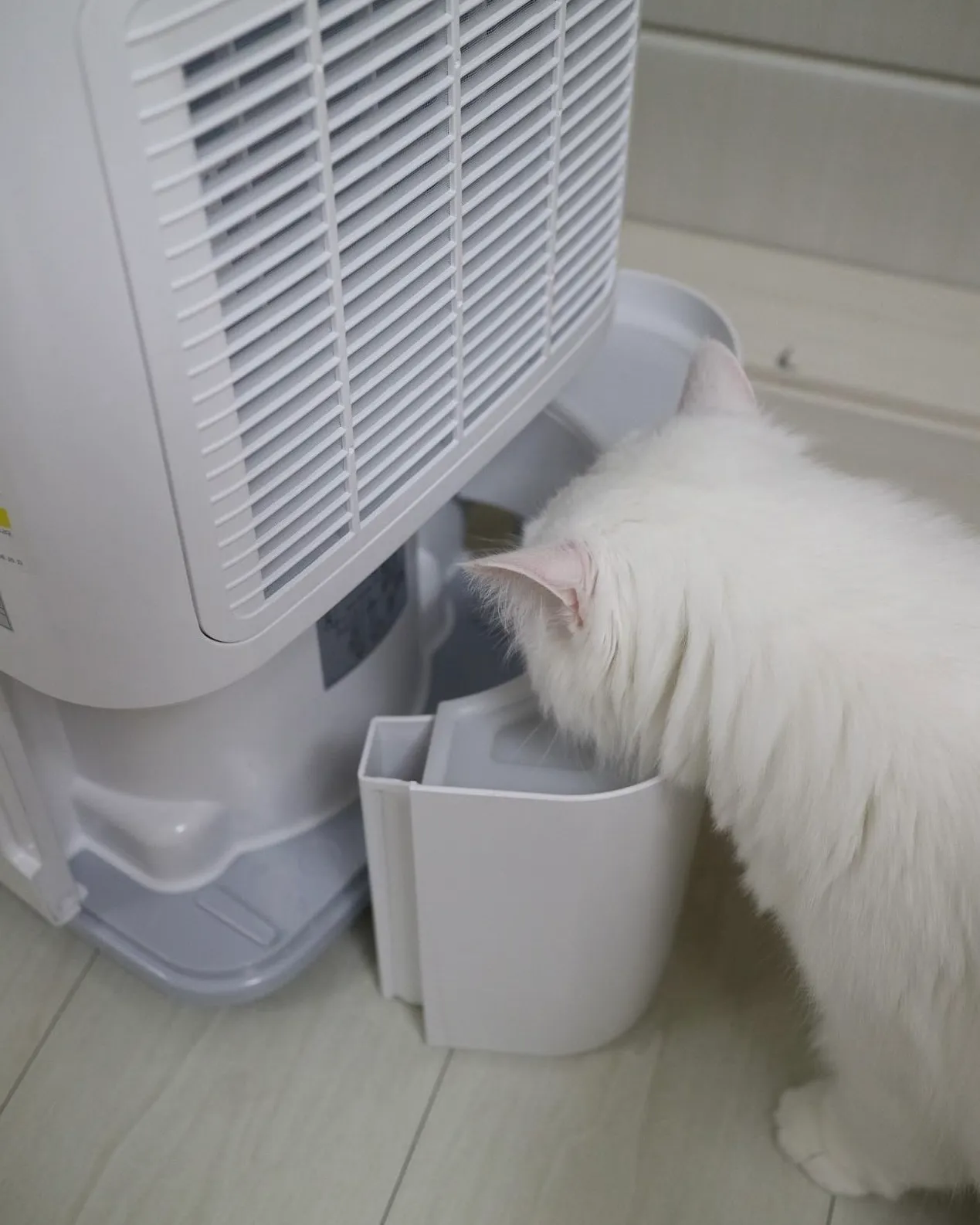 2번째 파일