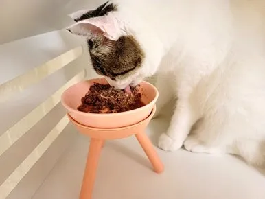 5번째 파일