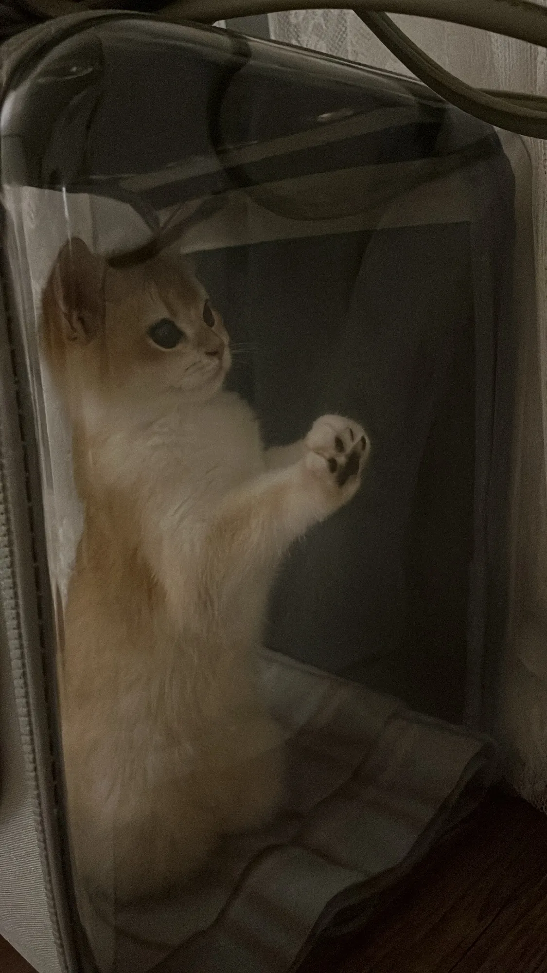 5번째 파일