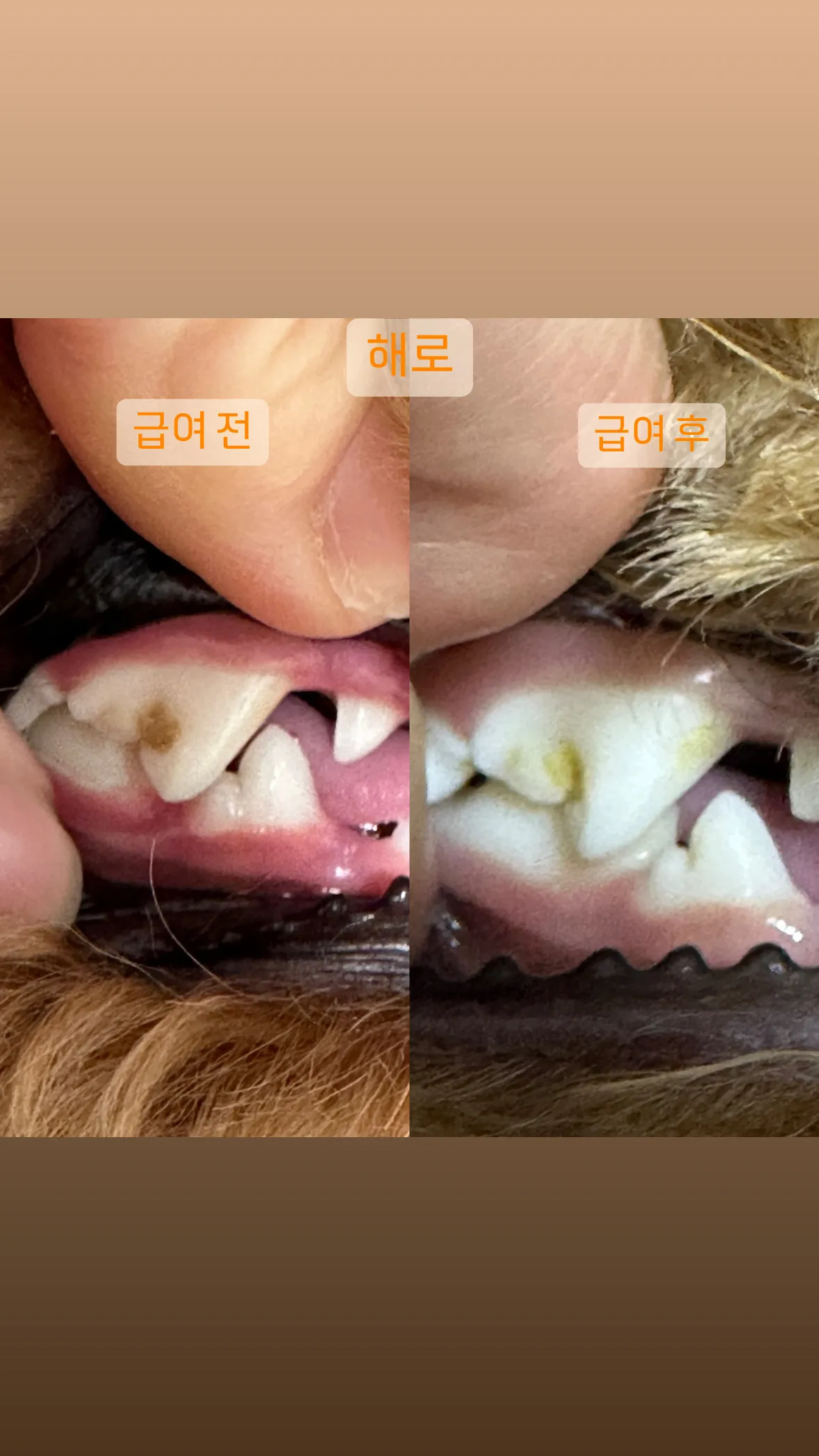 4번째 파일