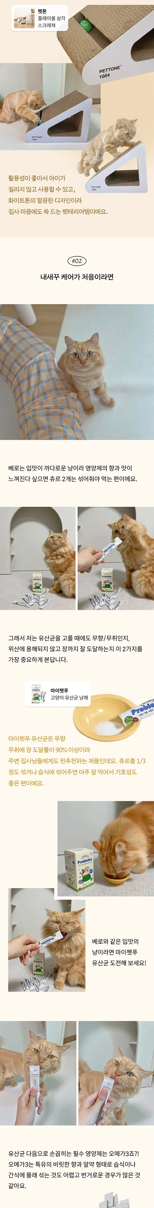 3번째 파일