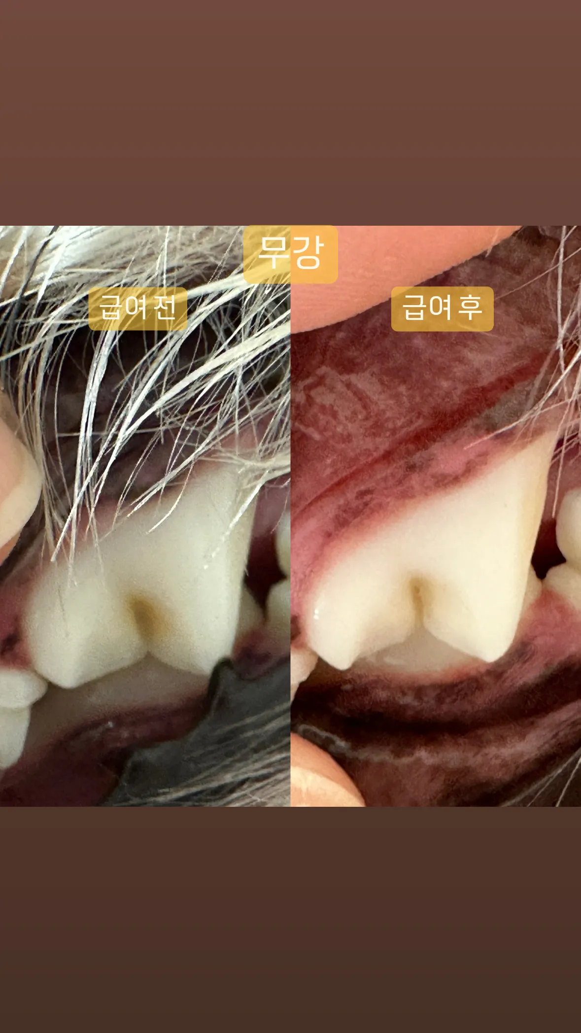 5번째 파일