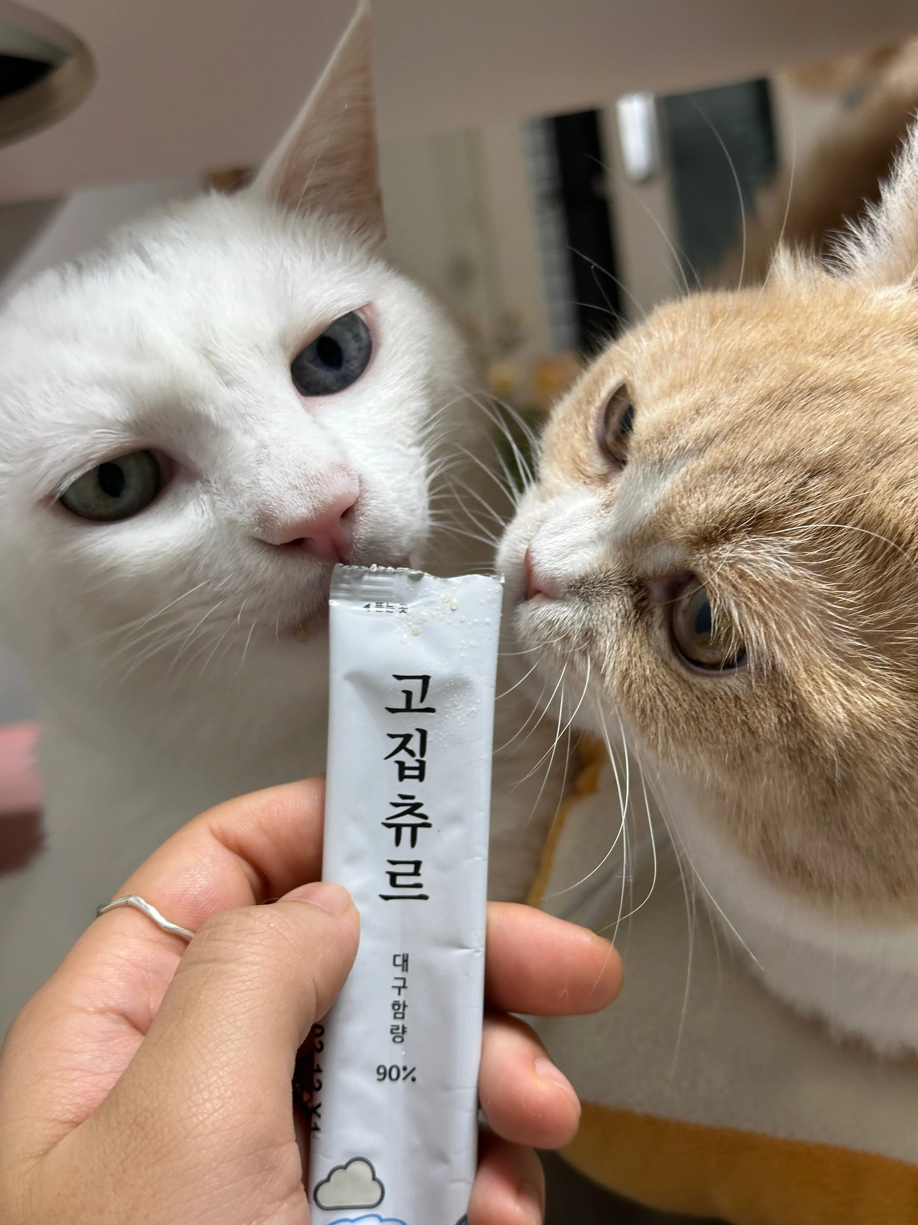 1번째 파일