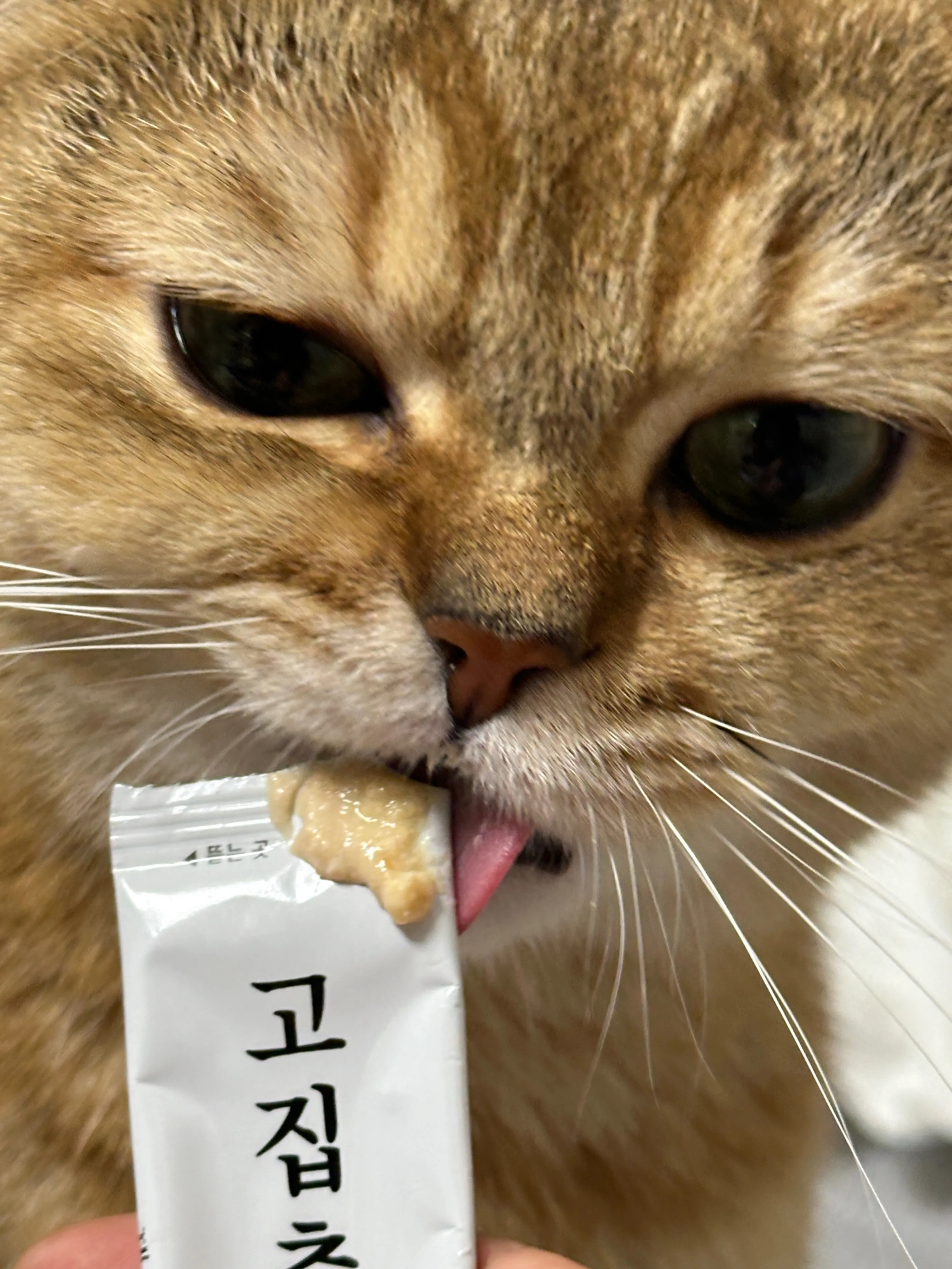 4번째 파일