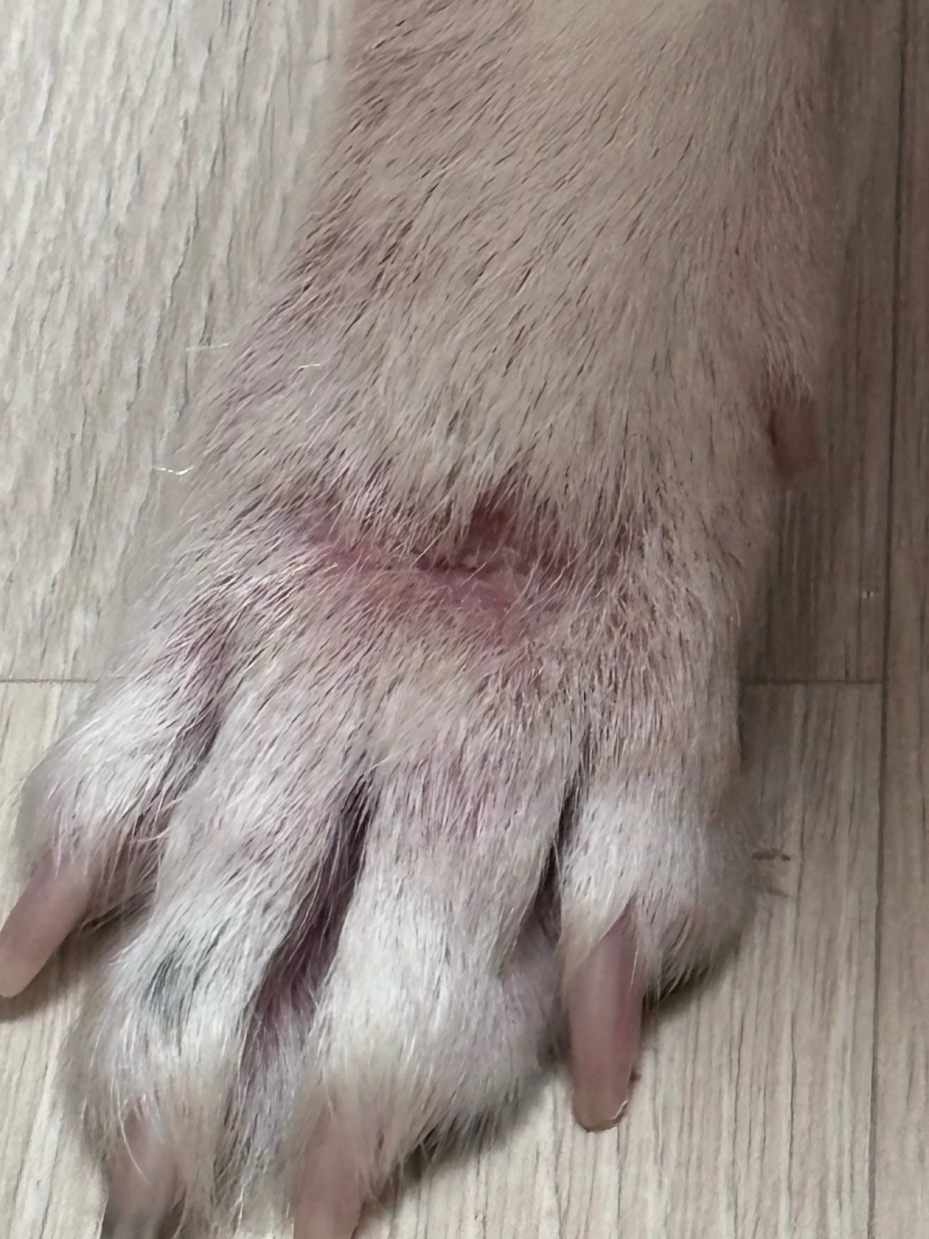 1번째 파일