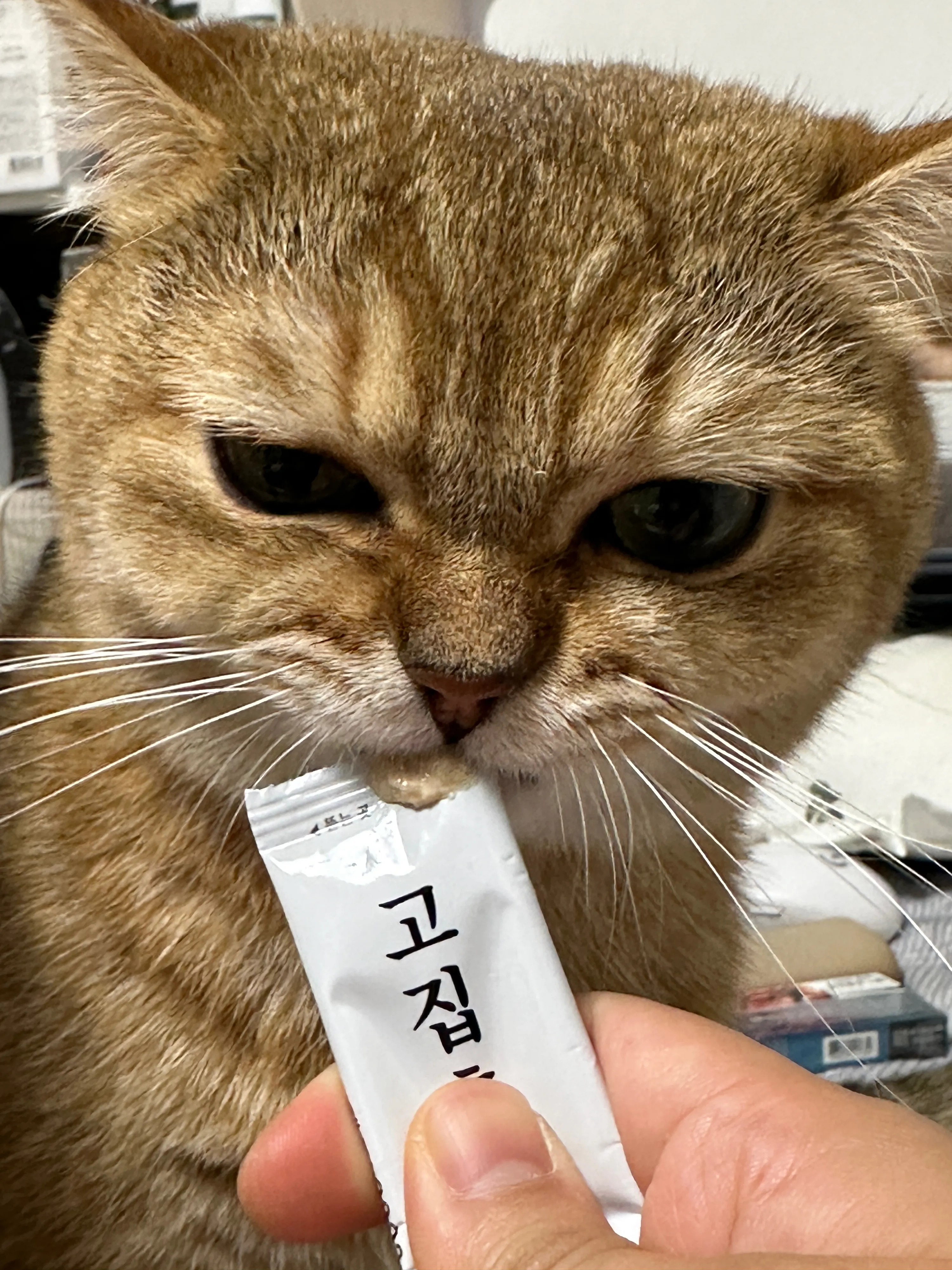 5번째 파일