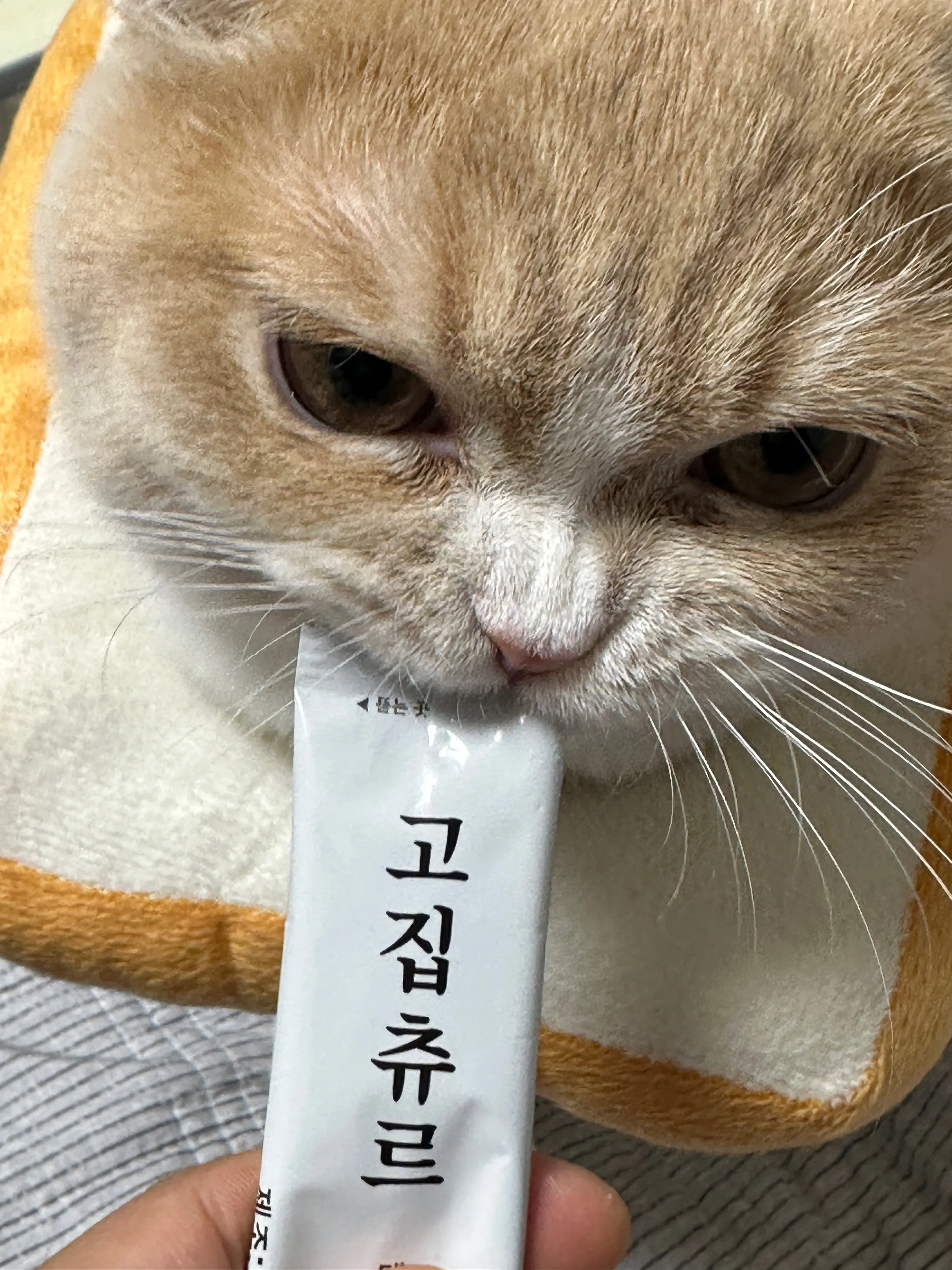 2번째 파일