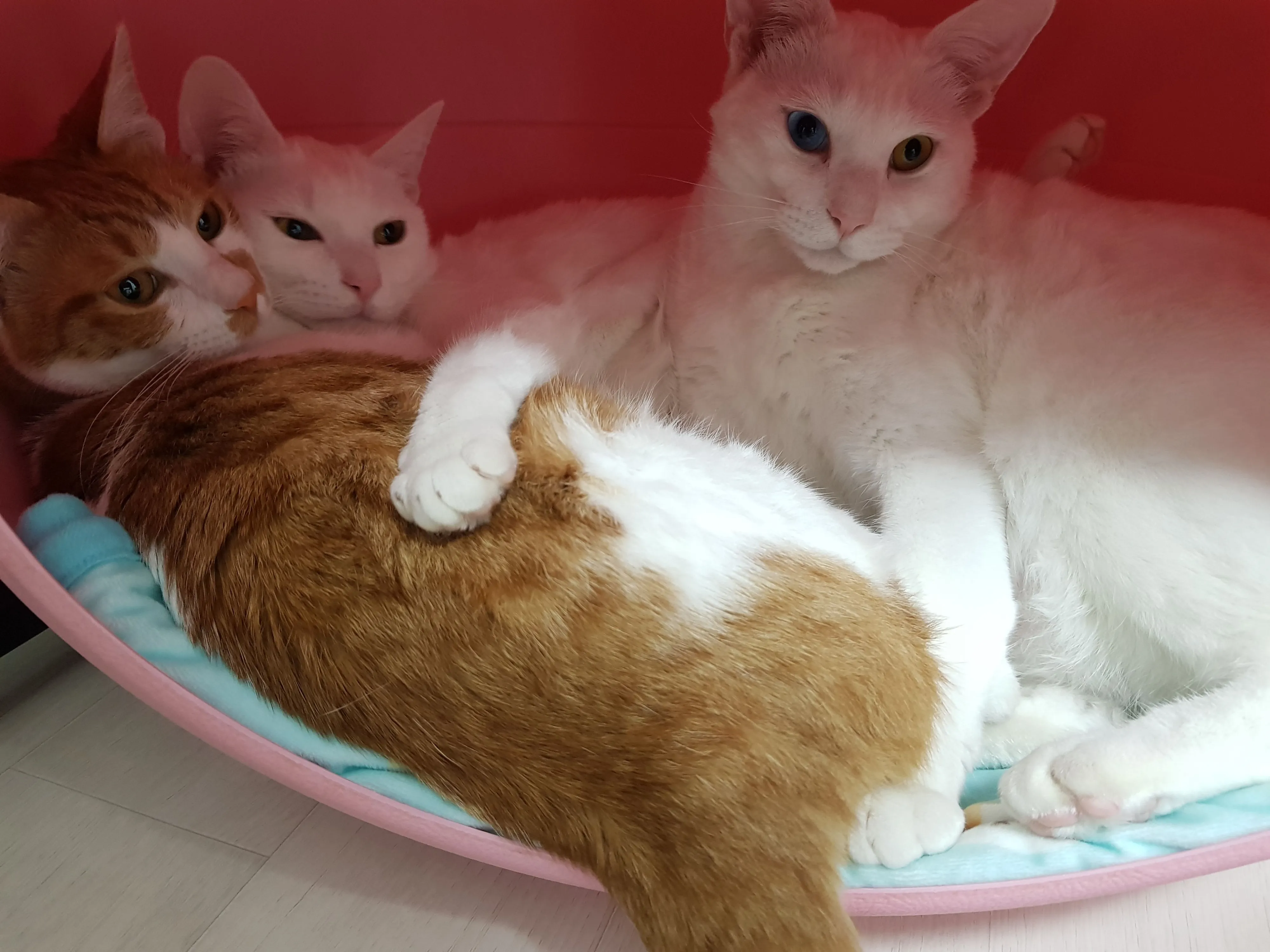2번째 파일