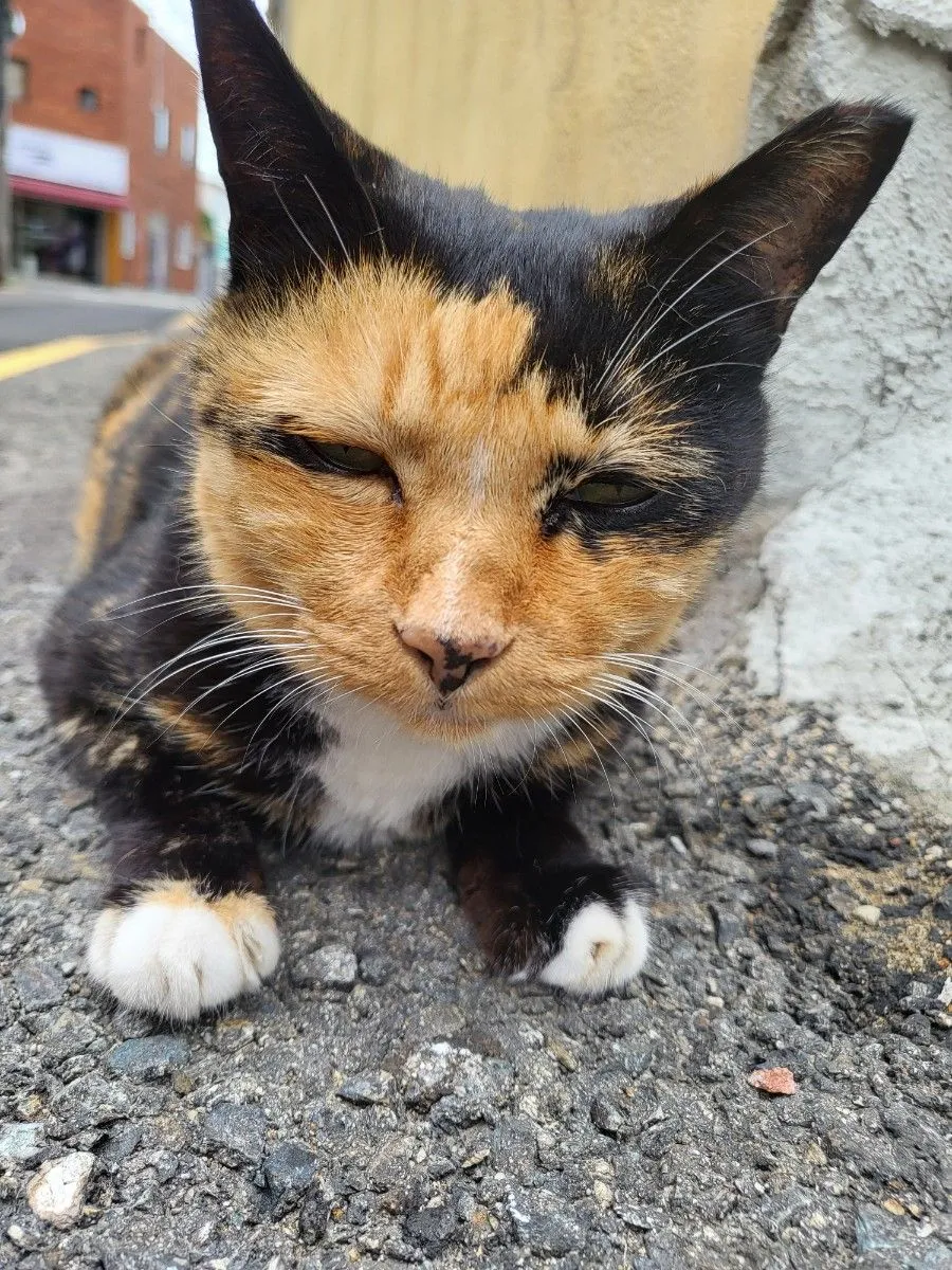 2번째 파일