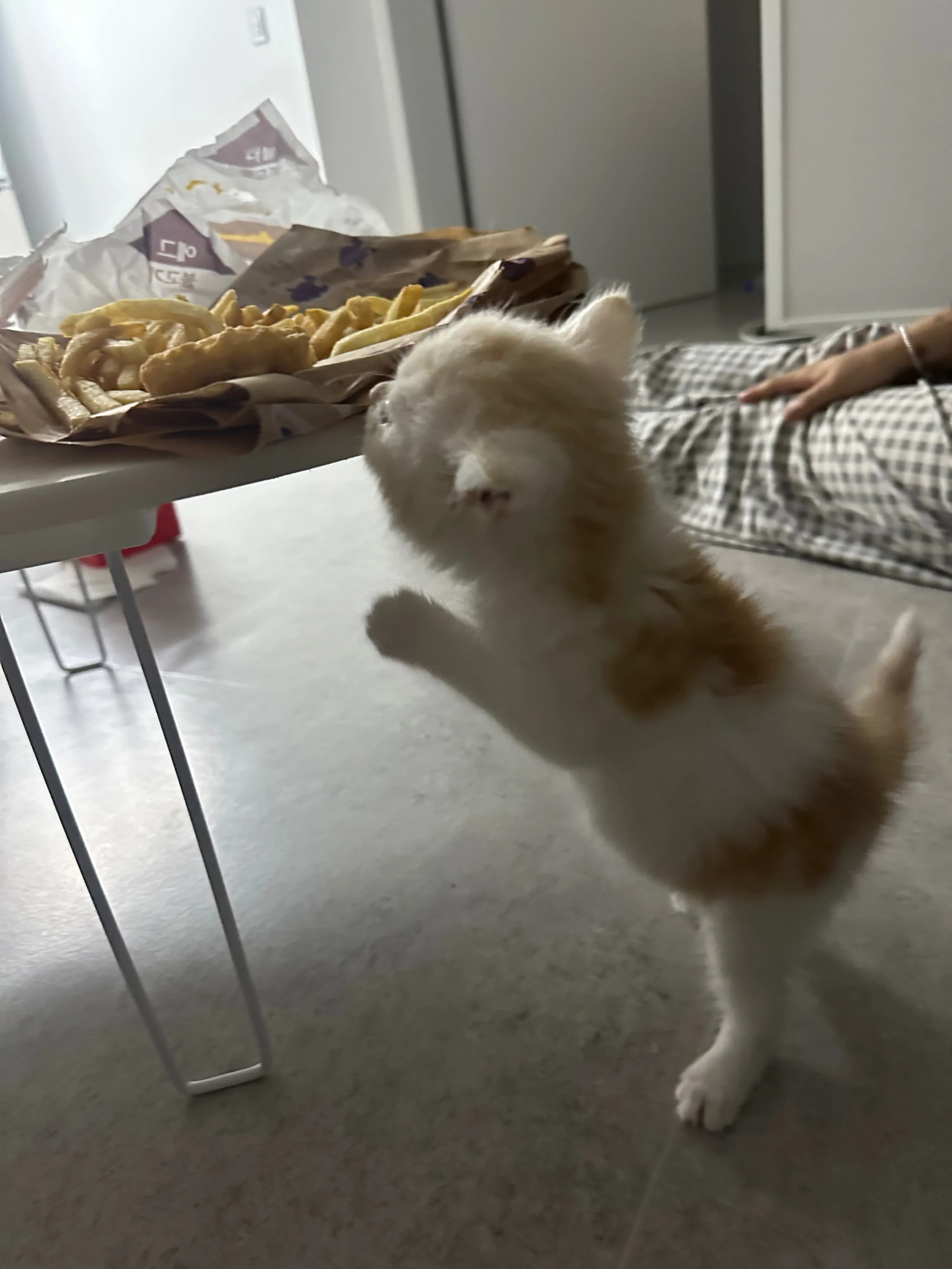 1번째 파일