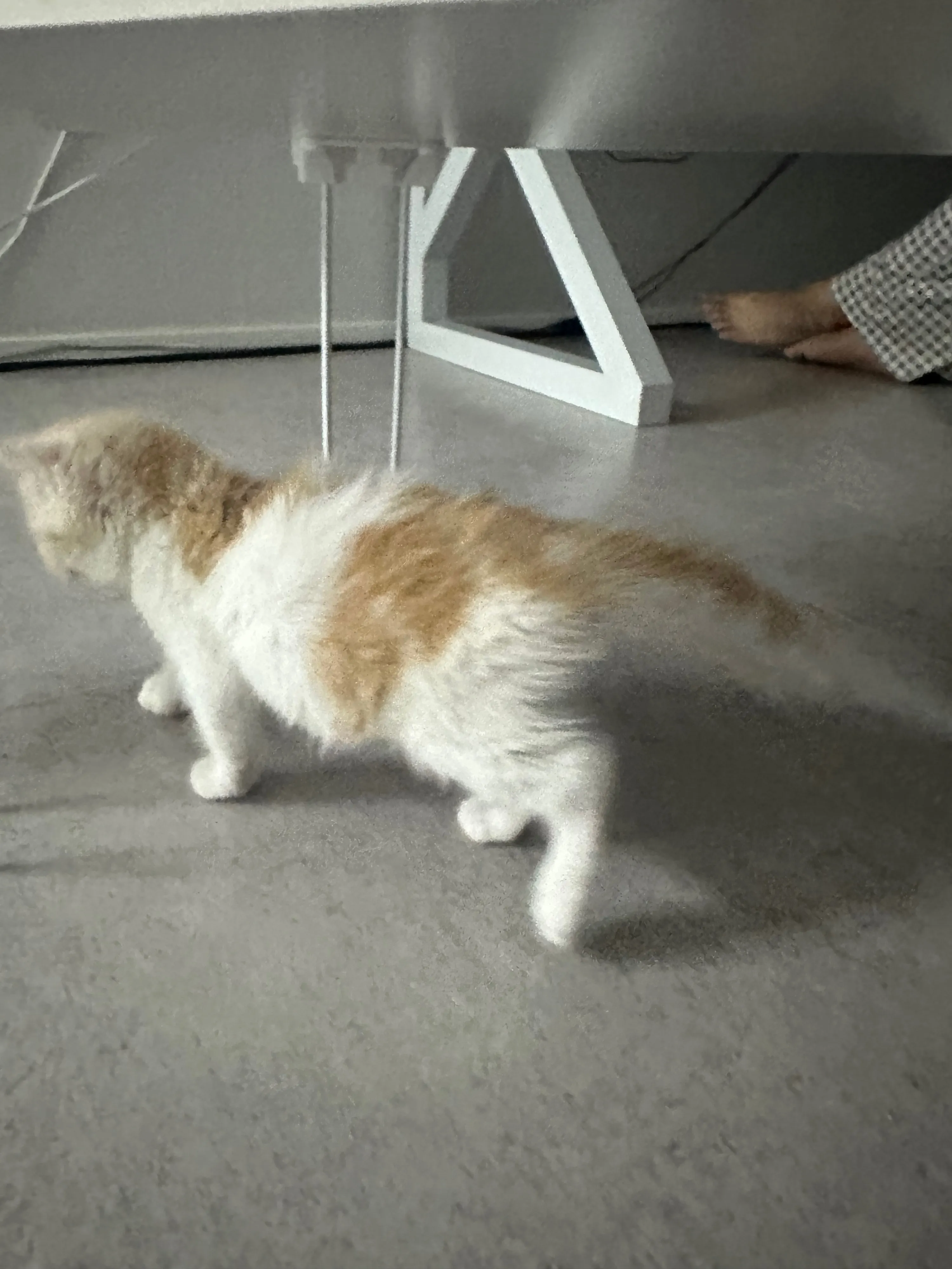 2번째 파일
