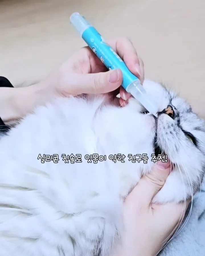 4번째 파일