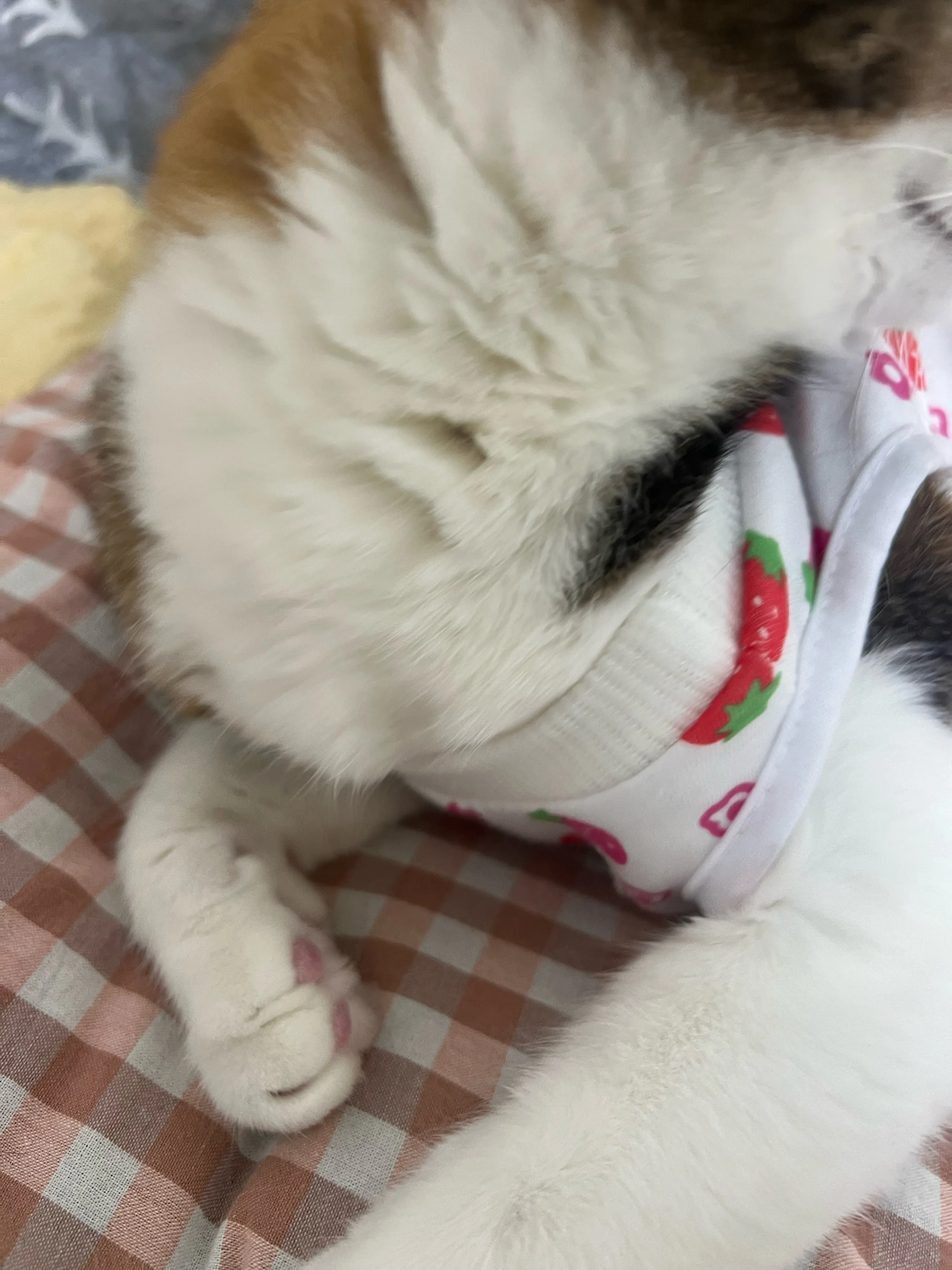 3번째 파일
